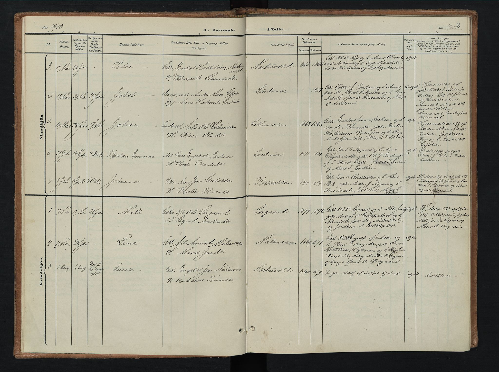 Tolga prestekontor, AV/SAH-PREST-062/K/L0010: Ministerialbok nr. 10, 1901-1915, s. 3