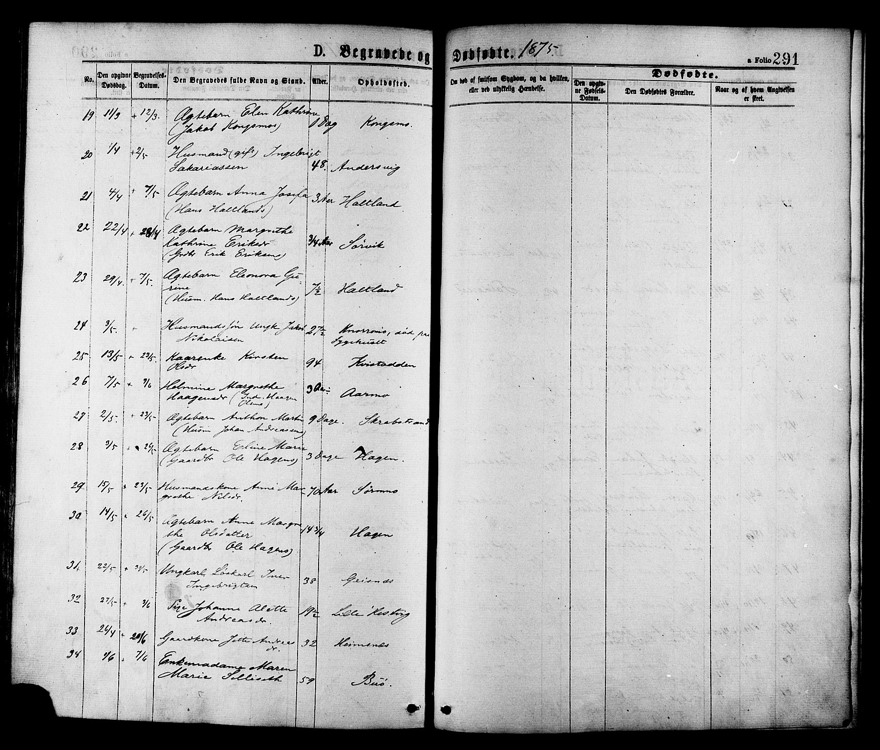 Ministerialprotokoller, klokkerbøker og fødselsregistre - Nord-Trøndelag, SAT/A-1458/780/L0642: Ministerialbok nr. 780A07 /1, 1874-1885, s. 291
