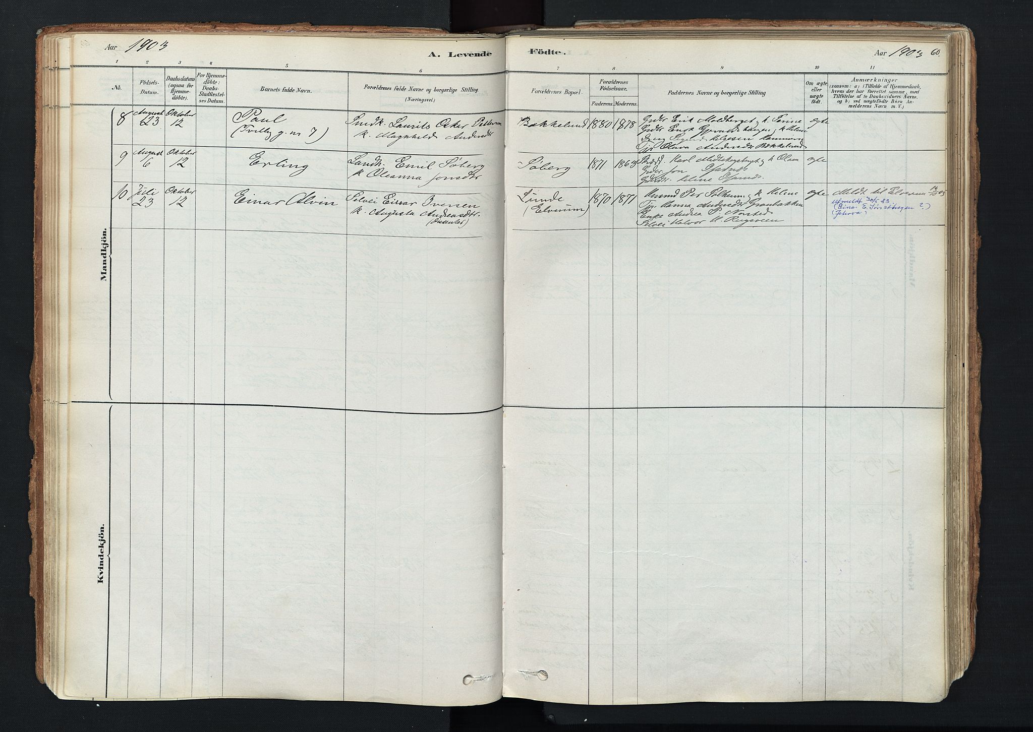 Trysil prestekontor, AV/SAH-PREST-046/H/Ha/Haa/L0011: Ministerialbok nr. 11, 1878-1912, s. 60