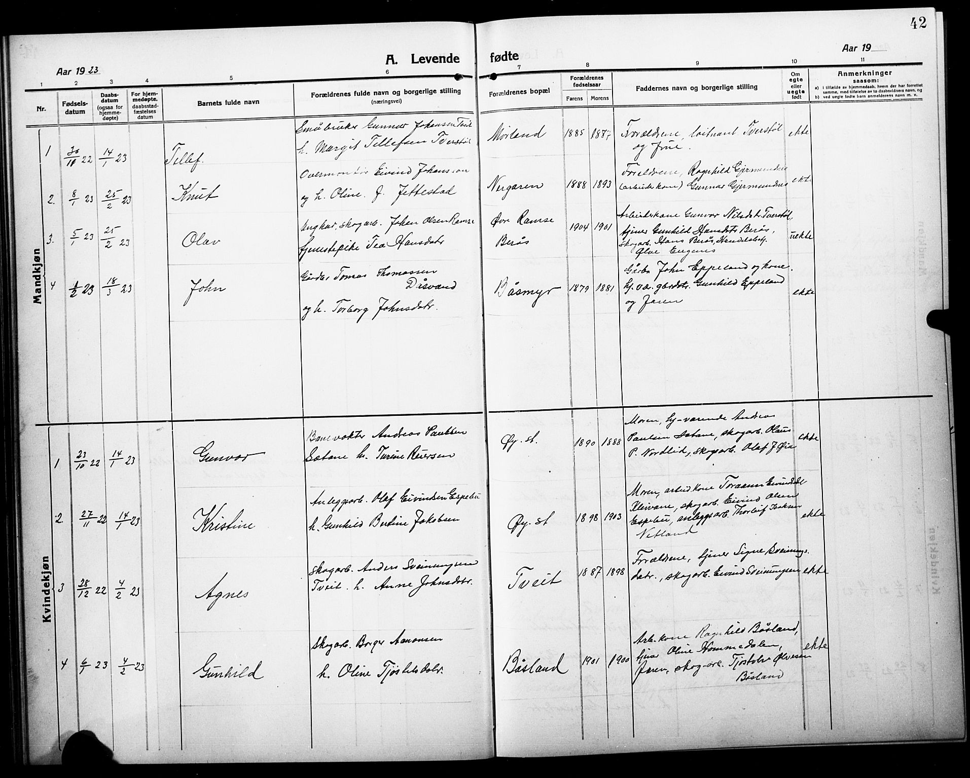 Åmli sokneprestkontor, AV/SAK-1111-0050/F/Fb/Fbc/L0006: Klokkerbok nr. B 6, 1915-1929, s. 42