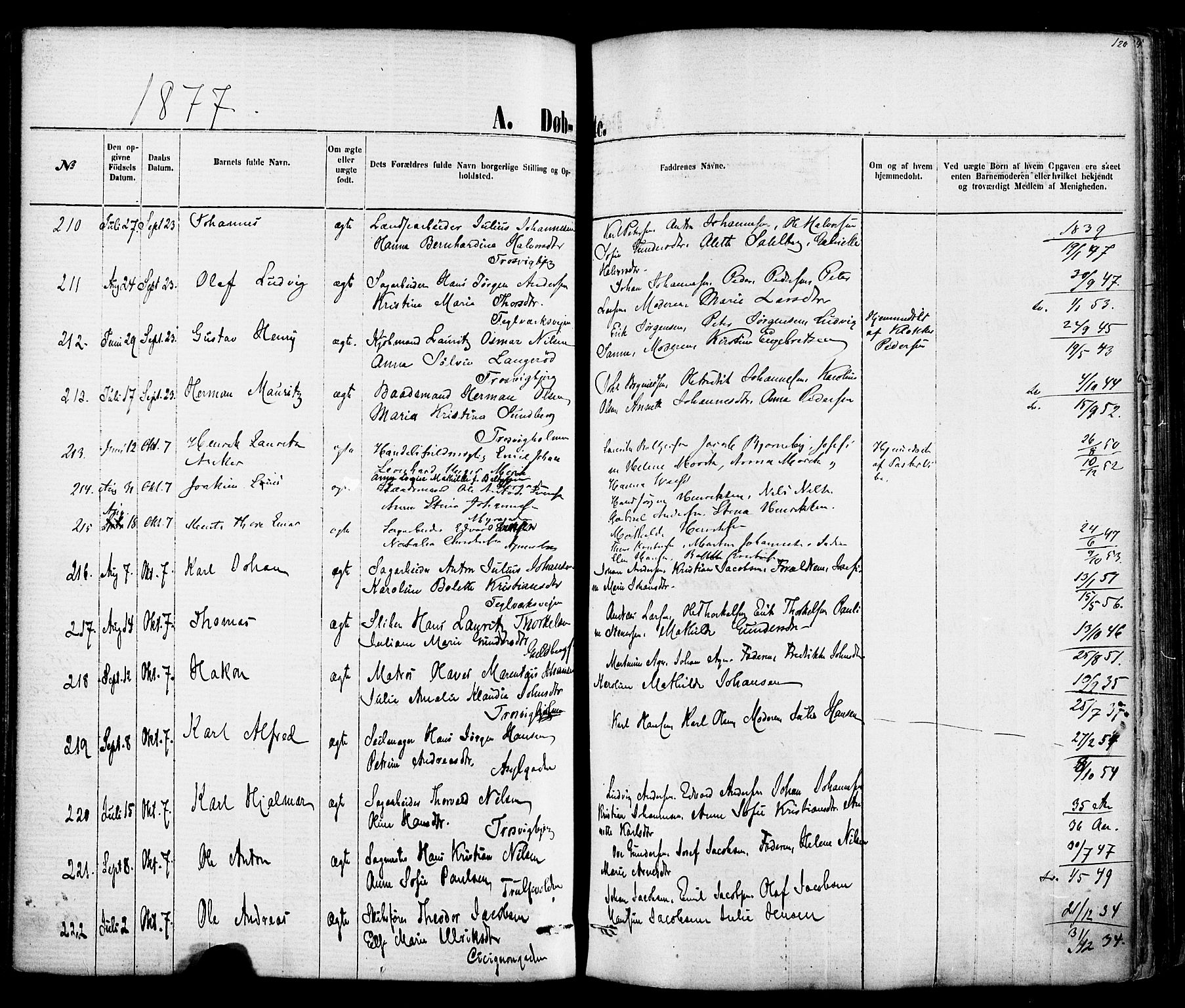 Fredrikstad domkirkes prestekontor Kirkebøker, AV/SAO-A-10906/F/Fa/L0001: Ministerialbok nr. 1, 1871-1878, s. 120