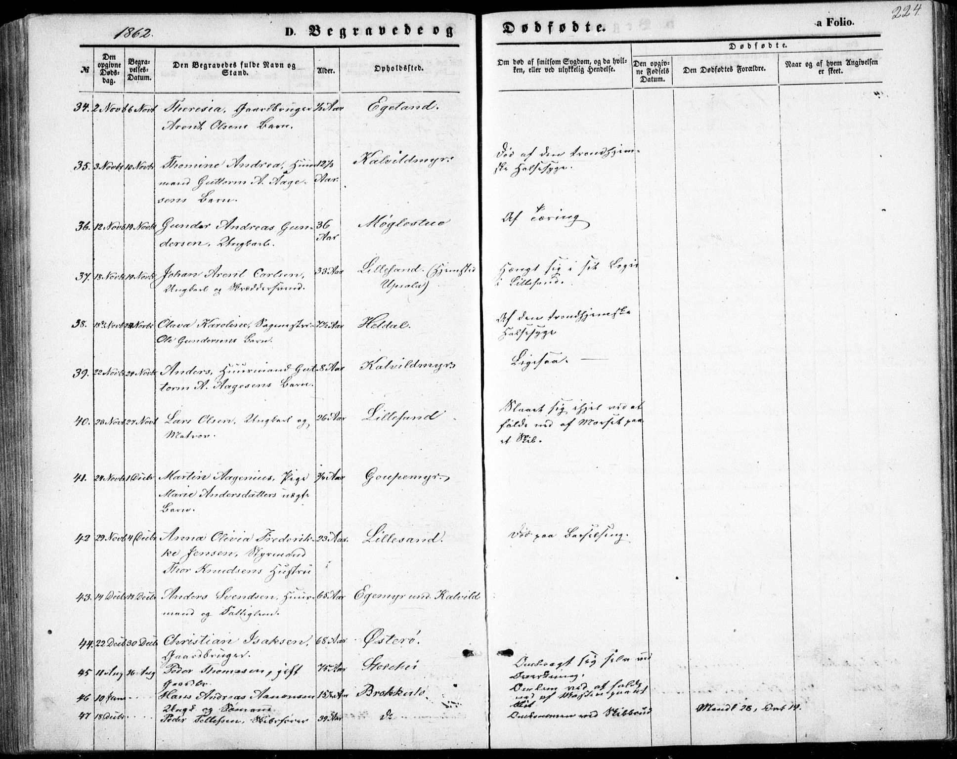 Vestre Moland sokneprestkontor, SAK/1111-0046/F/Fb/Fbb/L0004: Klokkerbok nr. B 4, 1861-1872, s. 224