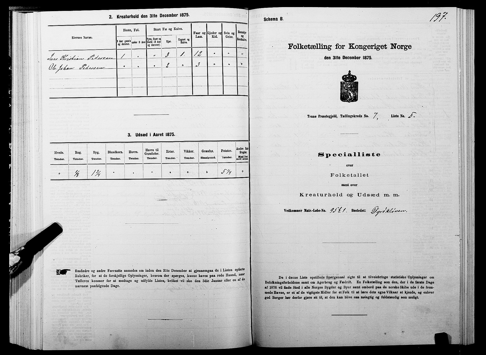 SATØ, Folketelling 1875 for 1927P Tranøy prestegjeld, 1875, s. 3197