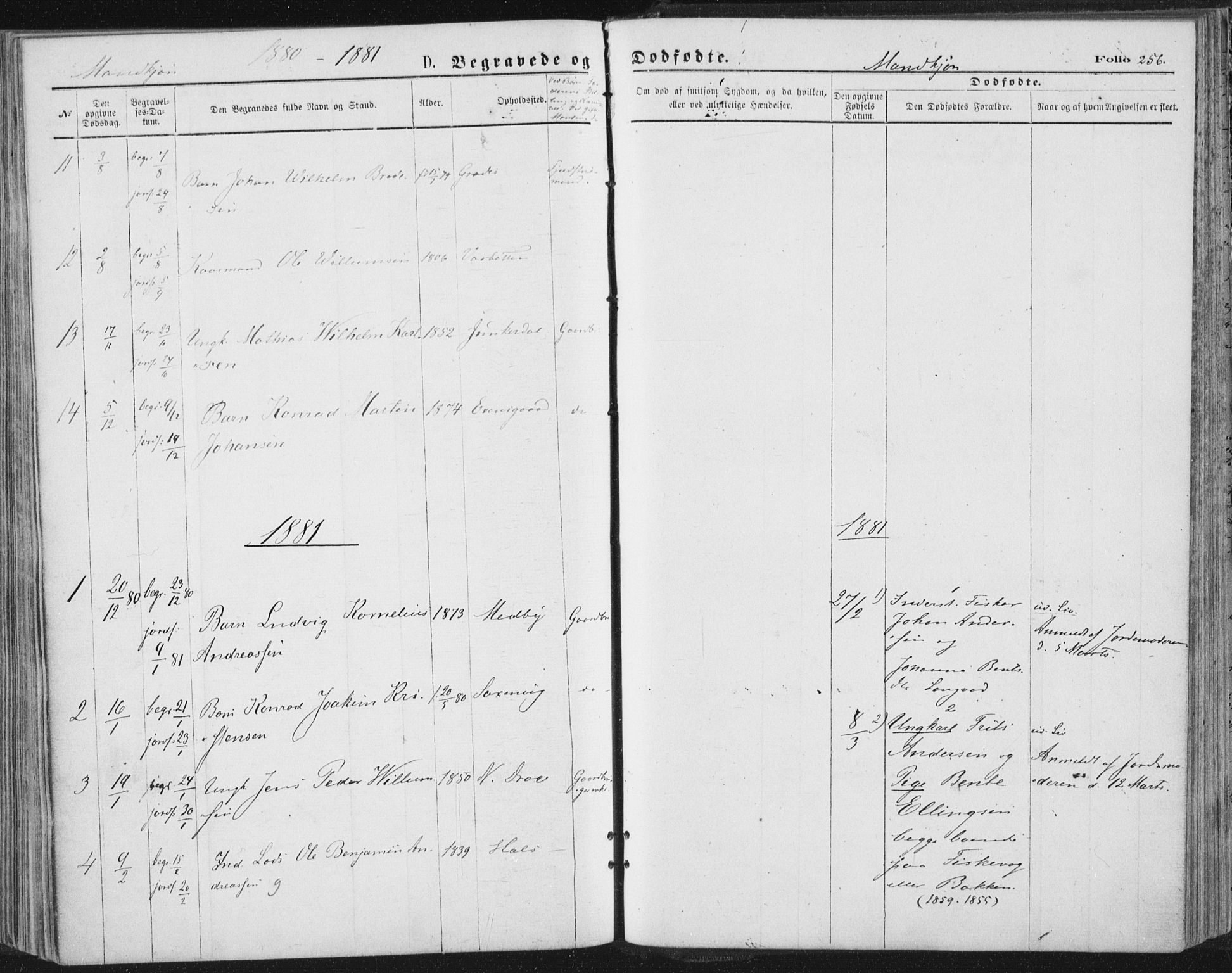 Ministerialprotokoller, klokkerbøker og fødselsregistre - Nordland, AV/SAT-A-1459/847/L0668: Ministerialbok nr. 847A08, 1872-1886, s. 256