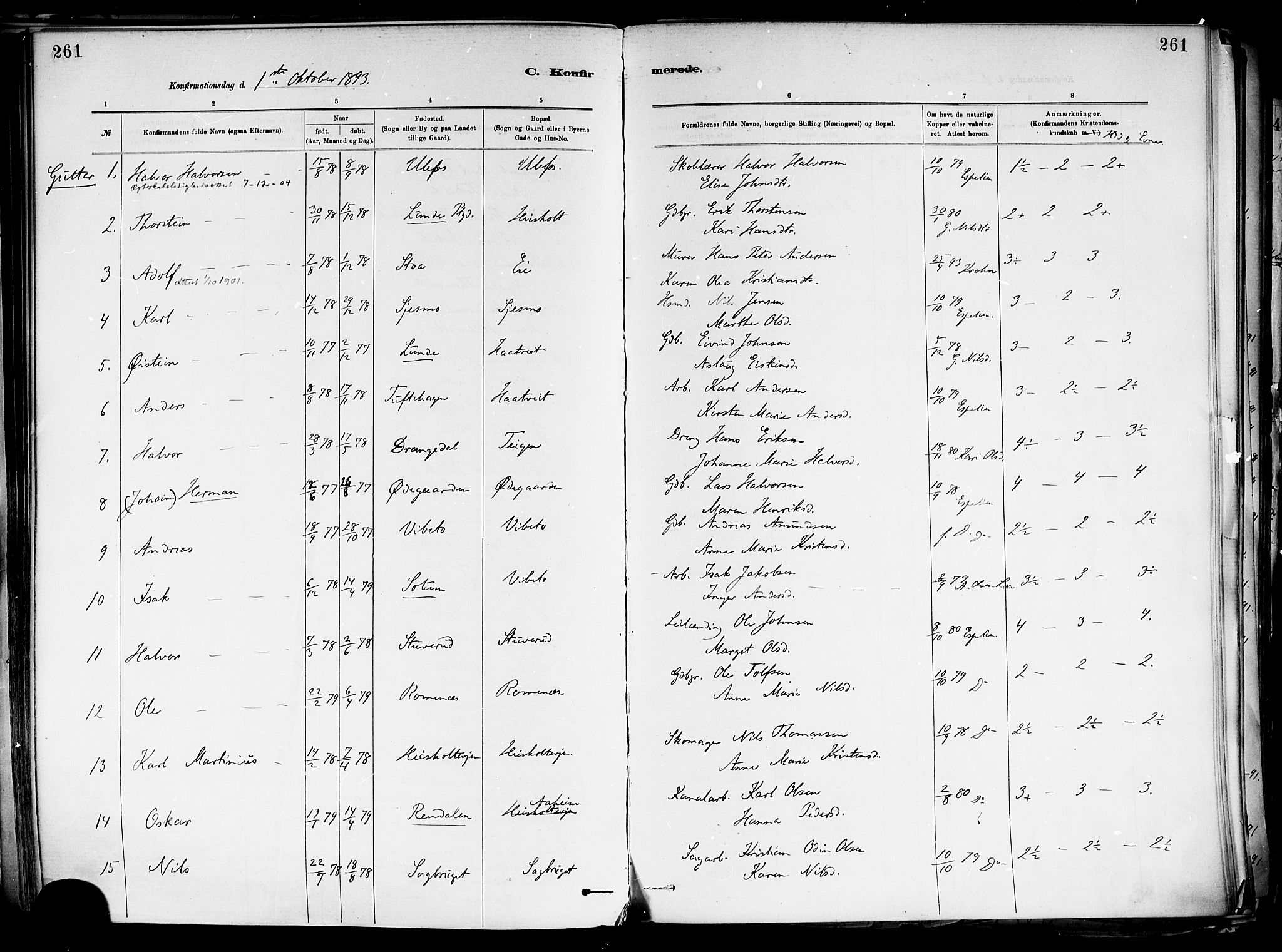 Holla kirkebøker, AV/SAKO-A-272/F/Fa/L0008: Ministerialbok nr. 8, 1882-1897, s. 261