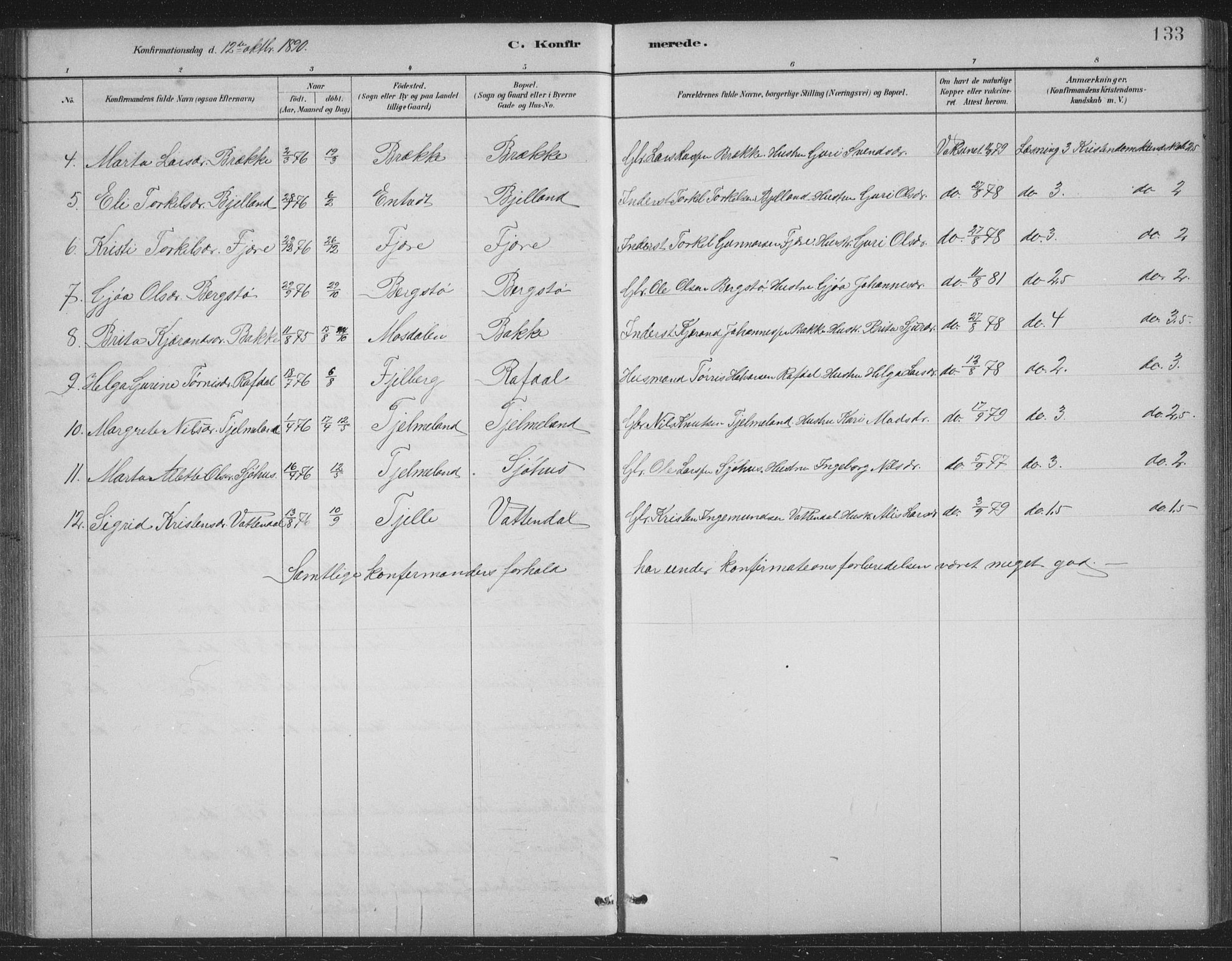 Skånevik sokneprestembete, AV/SAB-A-77801/H/Hab: Klokkerbok nr. B 2, 1881-1920, s. 133
