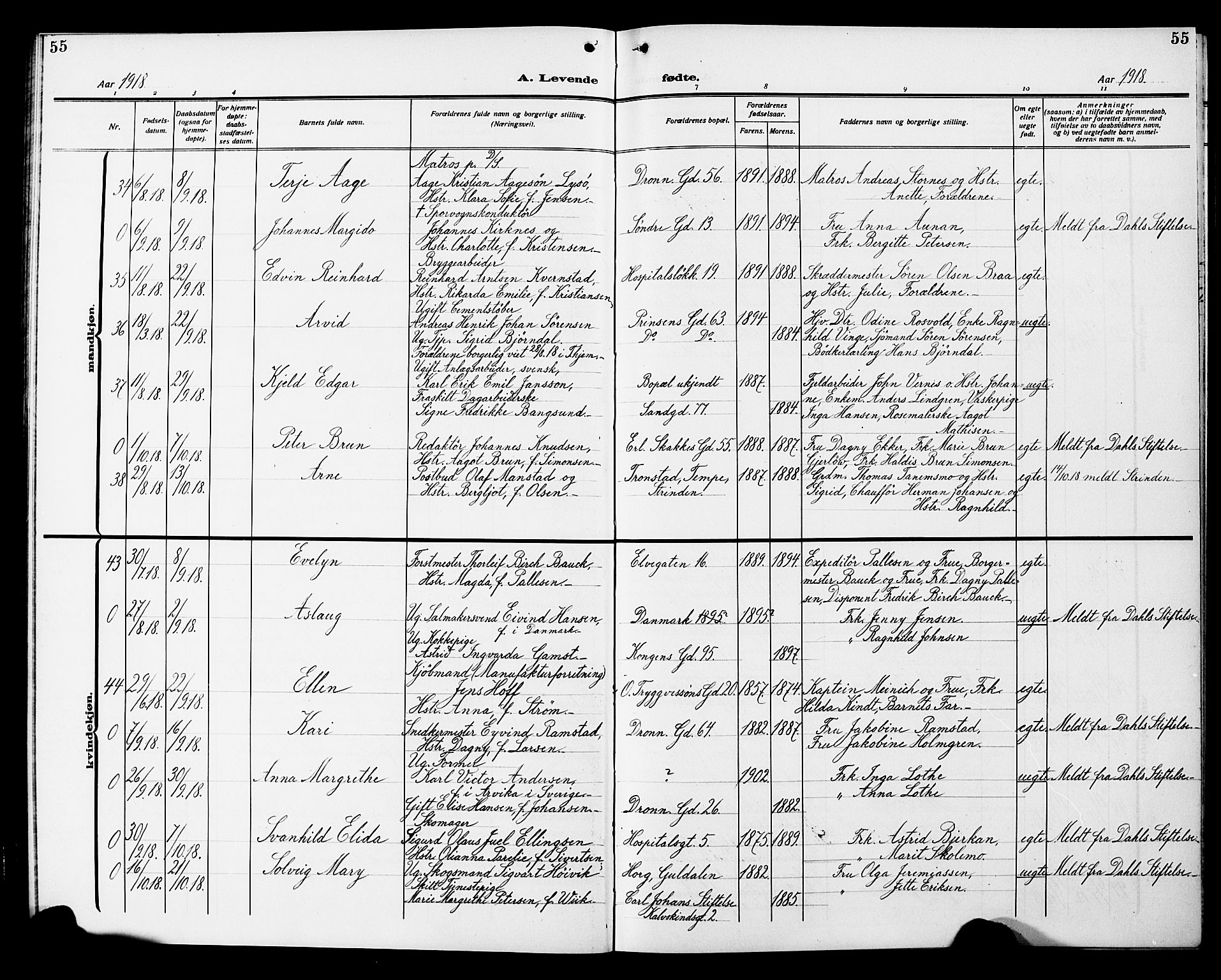 Ministerialprotokoller, klokkerbøker og fødselsregistre - Sør-Trøndelag, AV/SAT-A-1456/602/L0147: Klokkerbok nr. 602C15, 1911-1924, s. 55