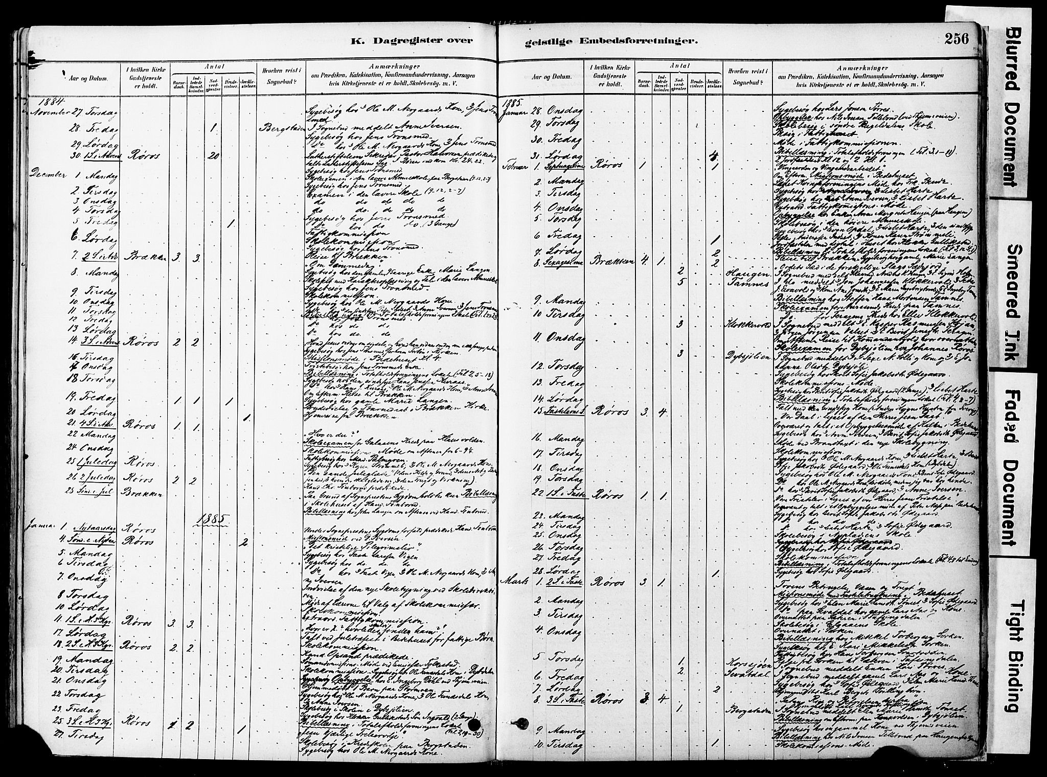 Ministerialprotokoller, klokkerbøker og fødselsregistre - Sør-Trøndelag, AV/SAT-A-1456/681/L0933: Ministerialbok nr. 681A11, 1879-1890, s. 256