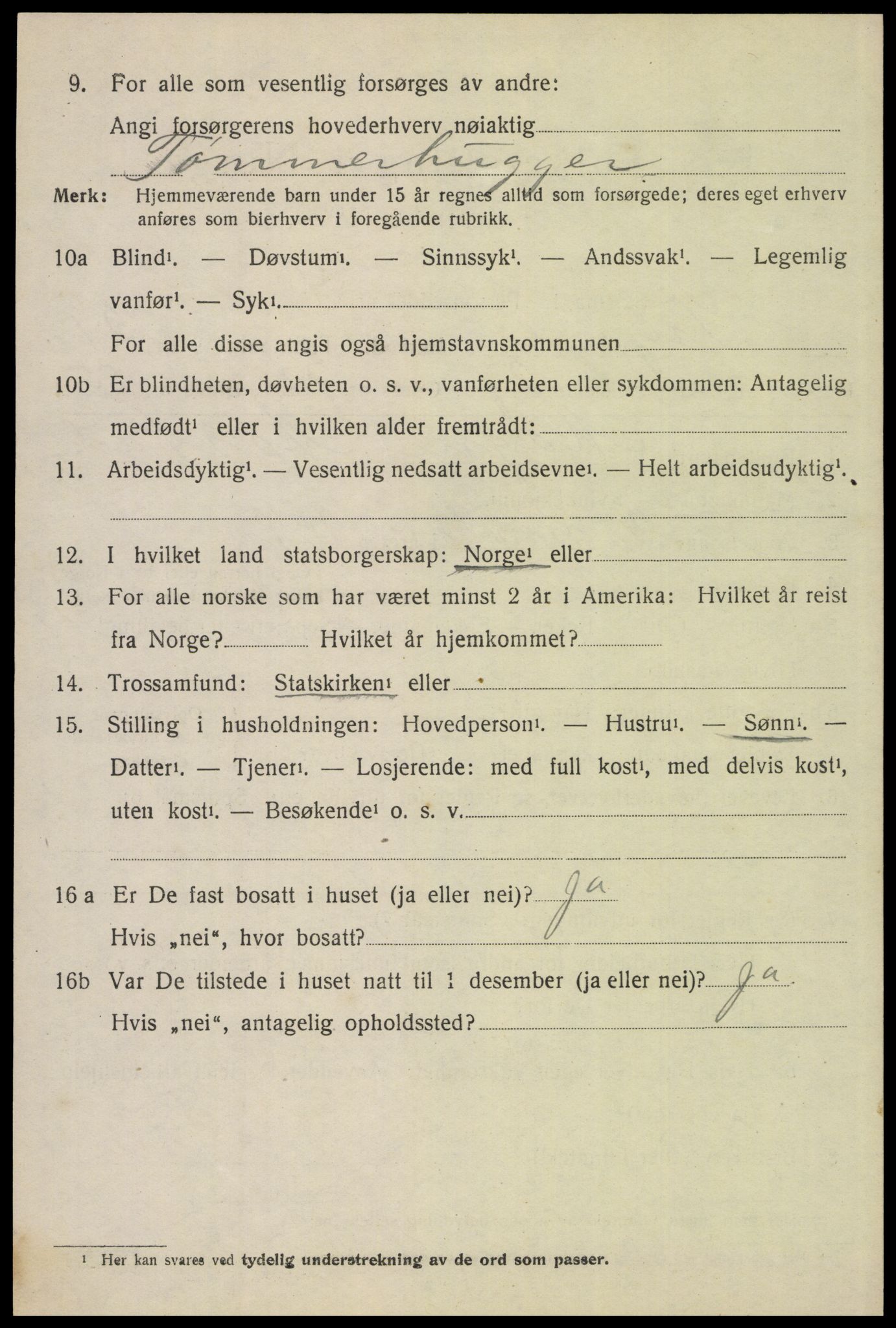 SAH, Folketelling 1920 for 0428 Trysil herred, 1920, s. 14096