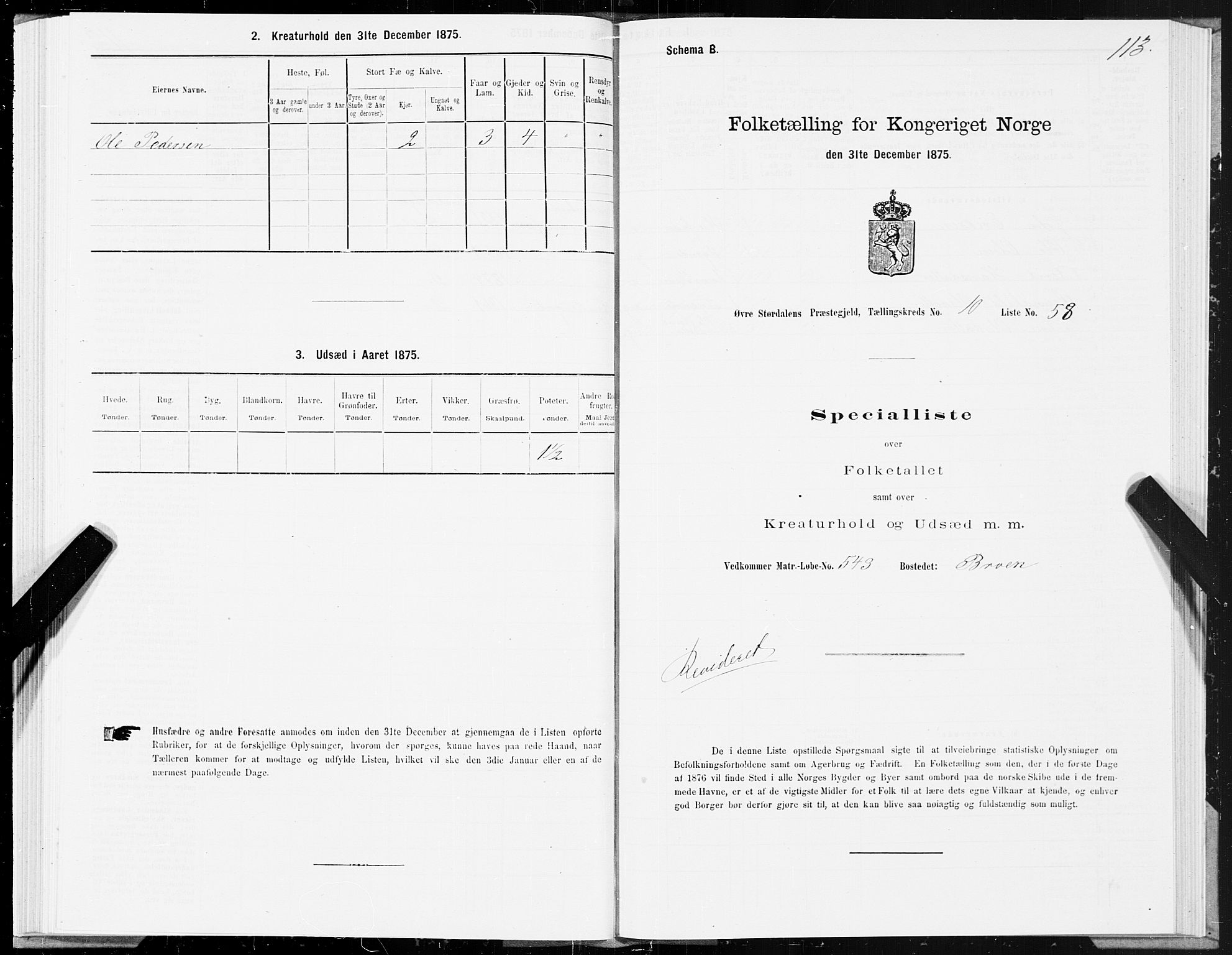 SAT, Folketelling 1875 for 1711P Øvre Stjørdal prestegjeld, 1875, s. 6113