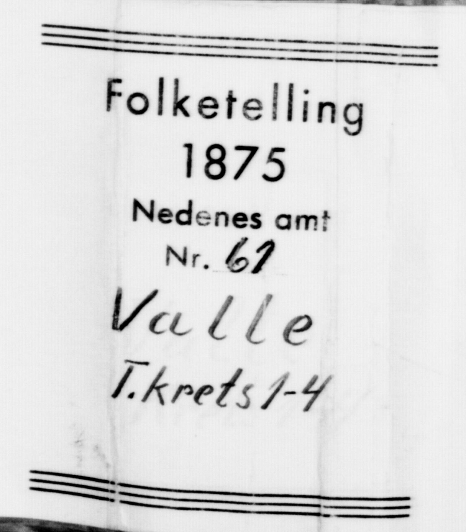 SAK, Folketelling 1875 for 0940P Valle prestegjeld, 1875, s. 39