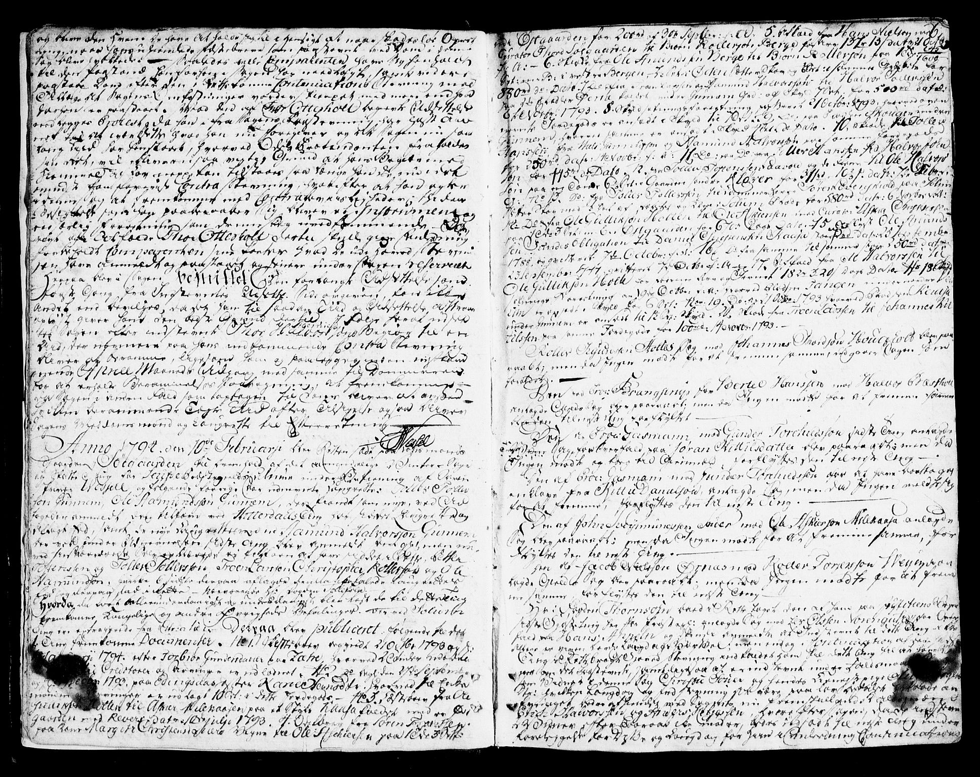 Nedre Telemark sorenskriveri, AV/SAKO-A-135/F/Fa/L0031: Tingbok, 1794-1797, s. 6