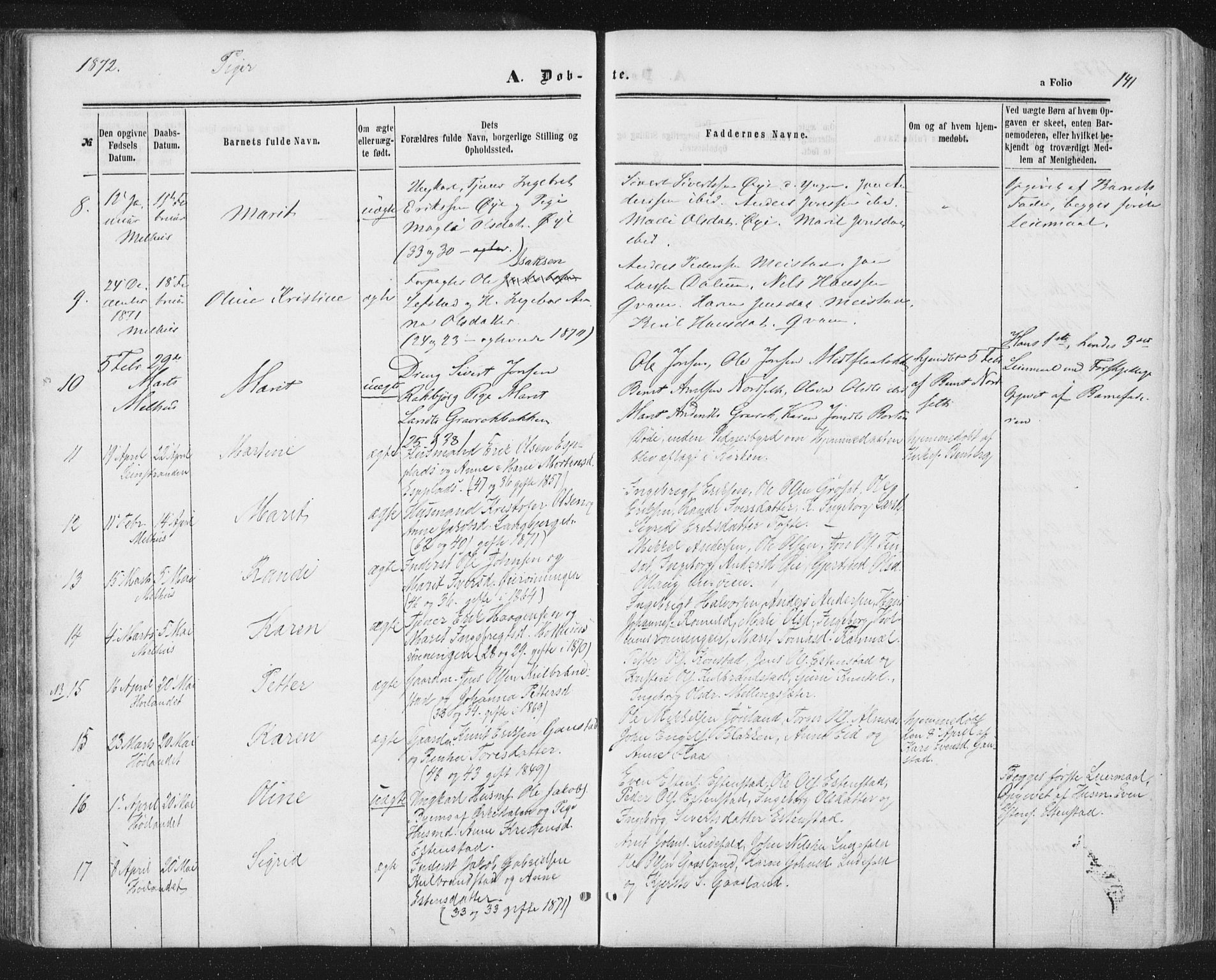 Ministerialprotokoller, klokkerbøker og fødselsregistre - Sør-Trøndelag, SAT/A-1456/691/L1077: Ministerialbok nr. 691A09, 1862-1873, s. 141