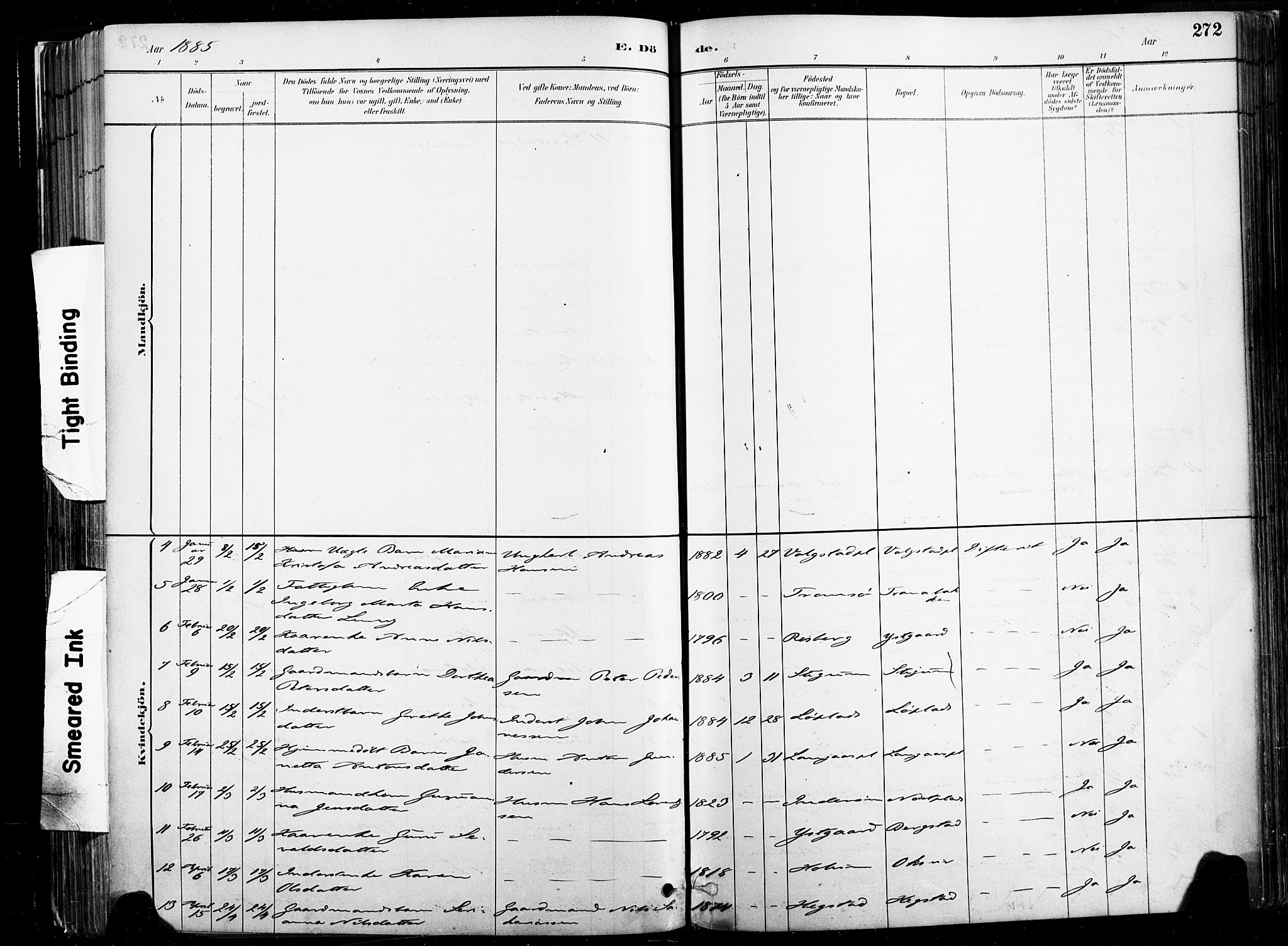 Ministerialprotokoller, klokkerbøker og fødselsregistre - Nord-Trøndelag, SAT/A-1458/735/L0351: Ministerialbok nr. 735A10, 1884-1908, s. 272
