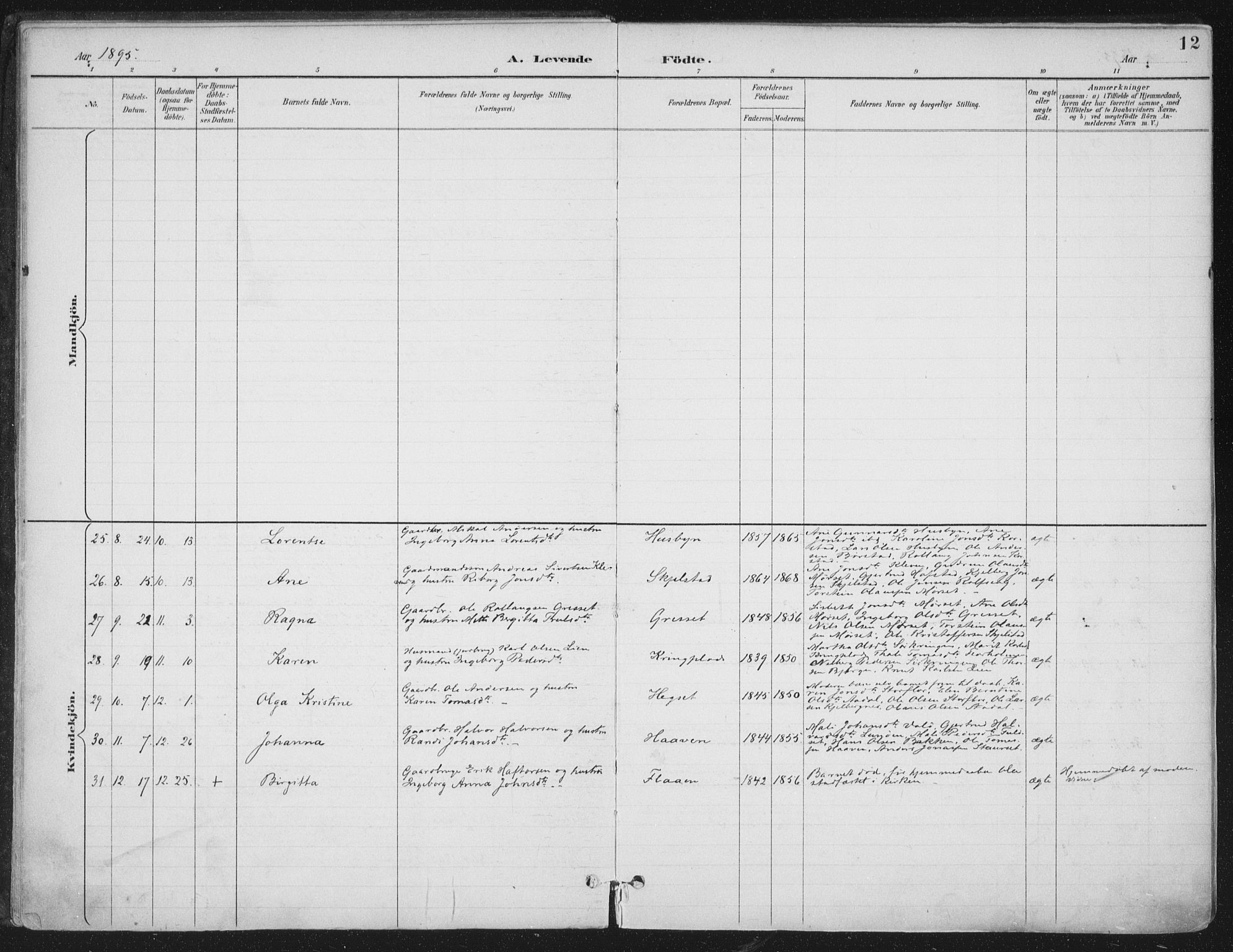 Ministerialprotokoller, klokkerbøker og fødselsregistre - Nord-Trøndelag, AV/SAT-A-1458/703/L0031: Ministerialbok nr. 703A04, 1893-1914, s. 12