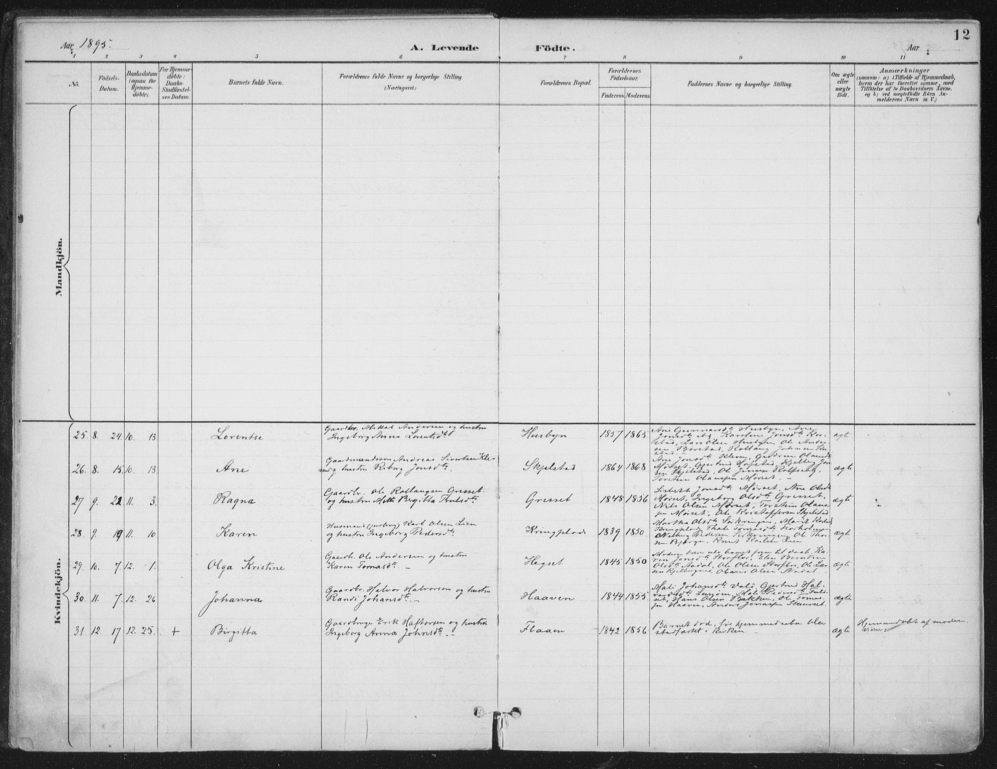 Ministerialprotokoller, klokkerbøker og fødselsregistre - Nord-Trøndelag, AV/SAT-A-1458/703/L0031: Ministerialbok nr. 703A04, 1893-1914, s. 12