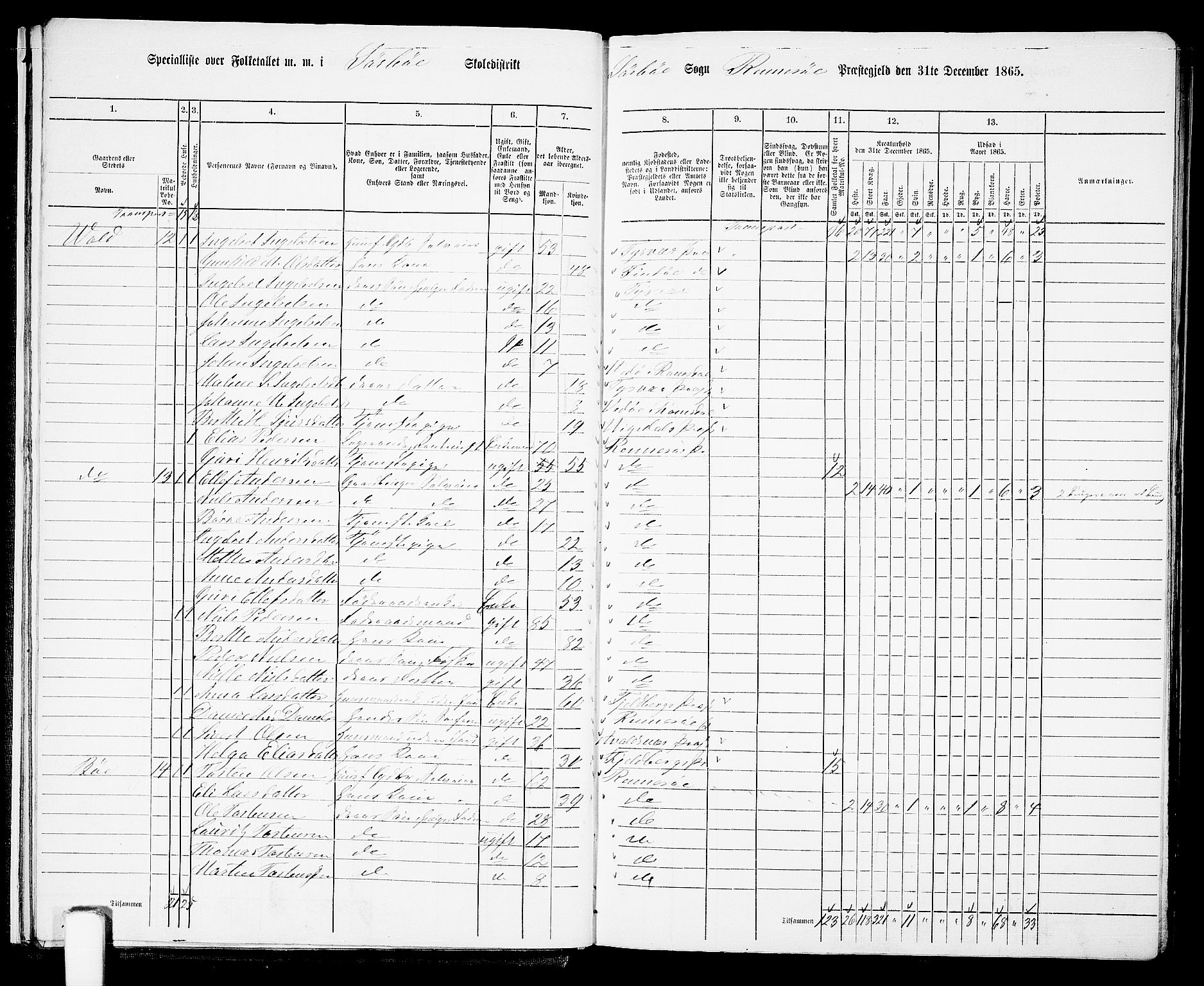 RA, Folketelling 1865 for 1142P Rennesøy prestegjeld, 1865, s. 14