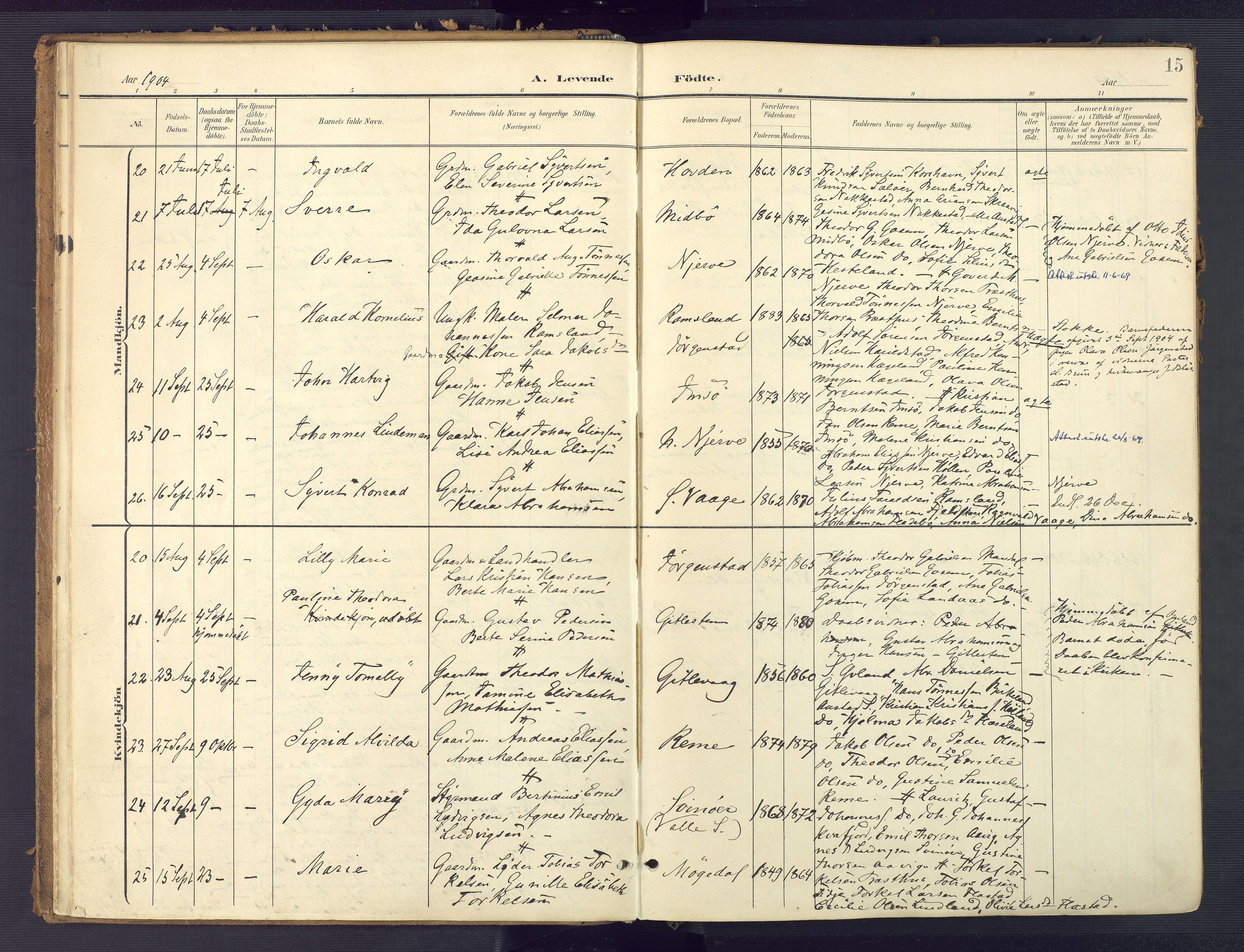 Sør-Audnedal sokneprestkontor, AV/SAK-1111-0039/F/Fa/Faa/L0005: Ministerialbok nr. A 5, 1900-1923, s. 15