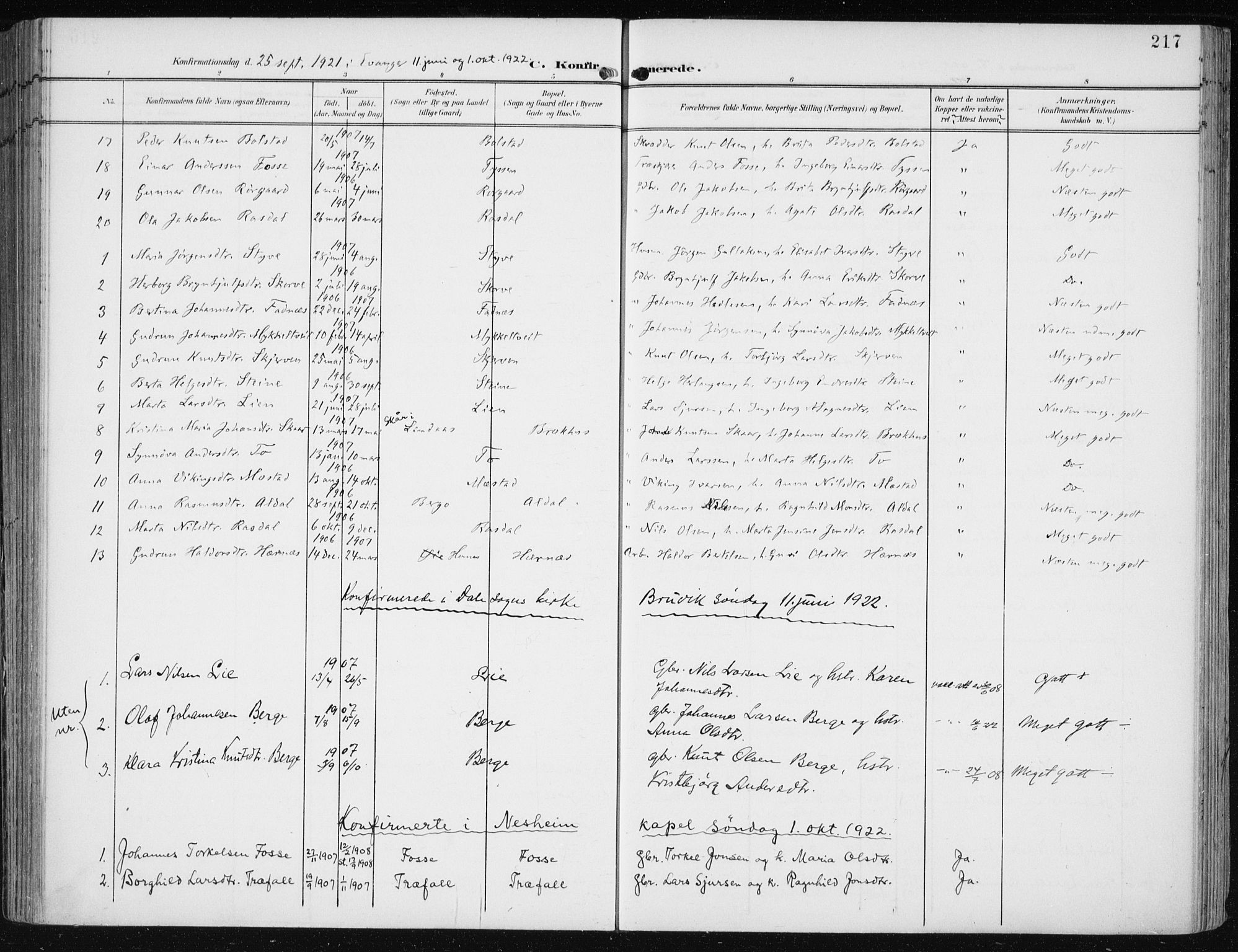 Evanger sokneprestembete, AV/SAB-A-99924: Ministerialbok nr. A  3, 1900-1930, s. 217