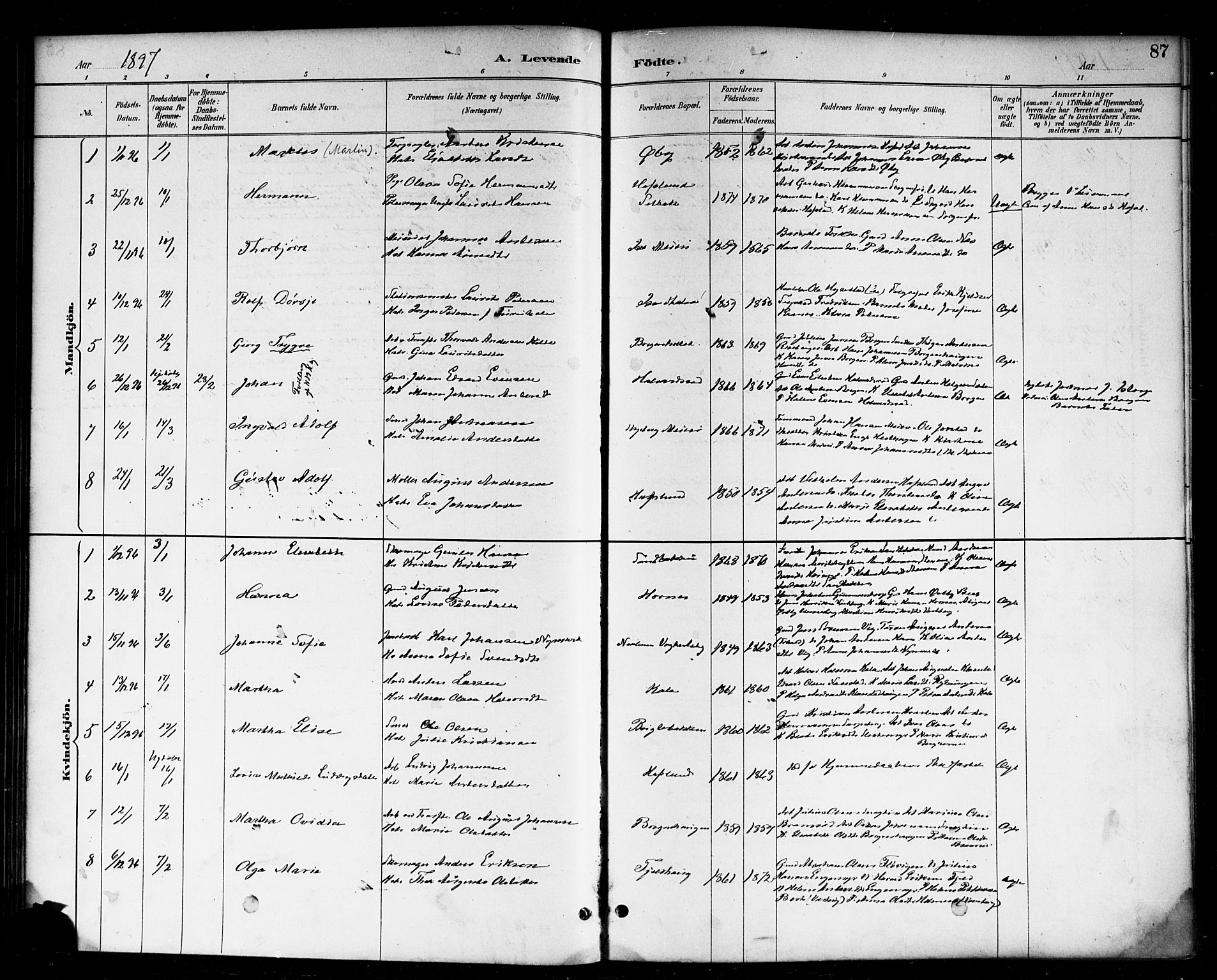 Skjeberg prestekontor Kirkebøker, AV/SAO-A-10923/F/Fa/L0009: Ministerialbok nr. I 9, 1886-1897, s. 87