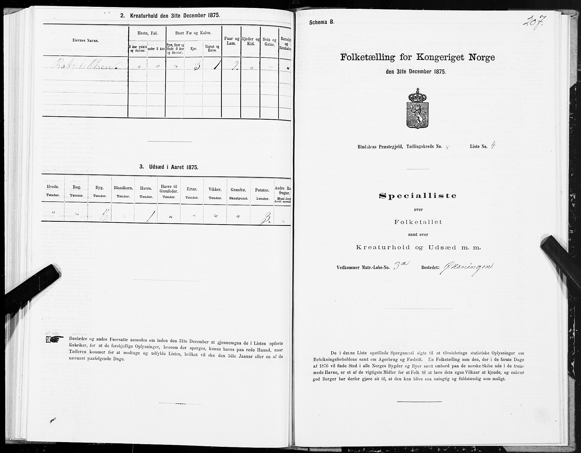 SAT, Folketelling 1875 for 1811P Bindal prestegjeld, 1875, s. 2207