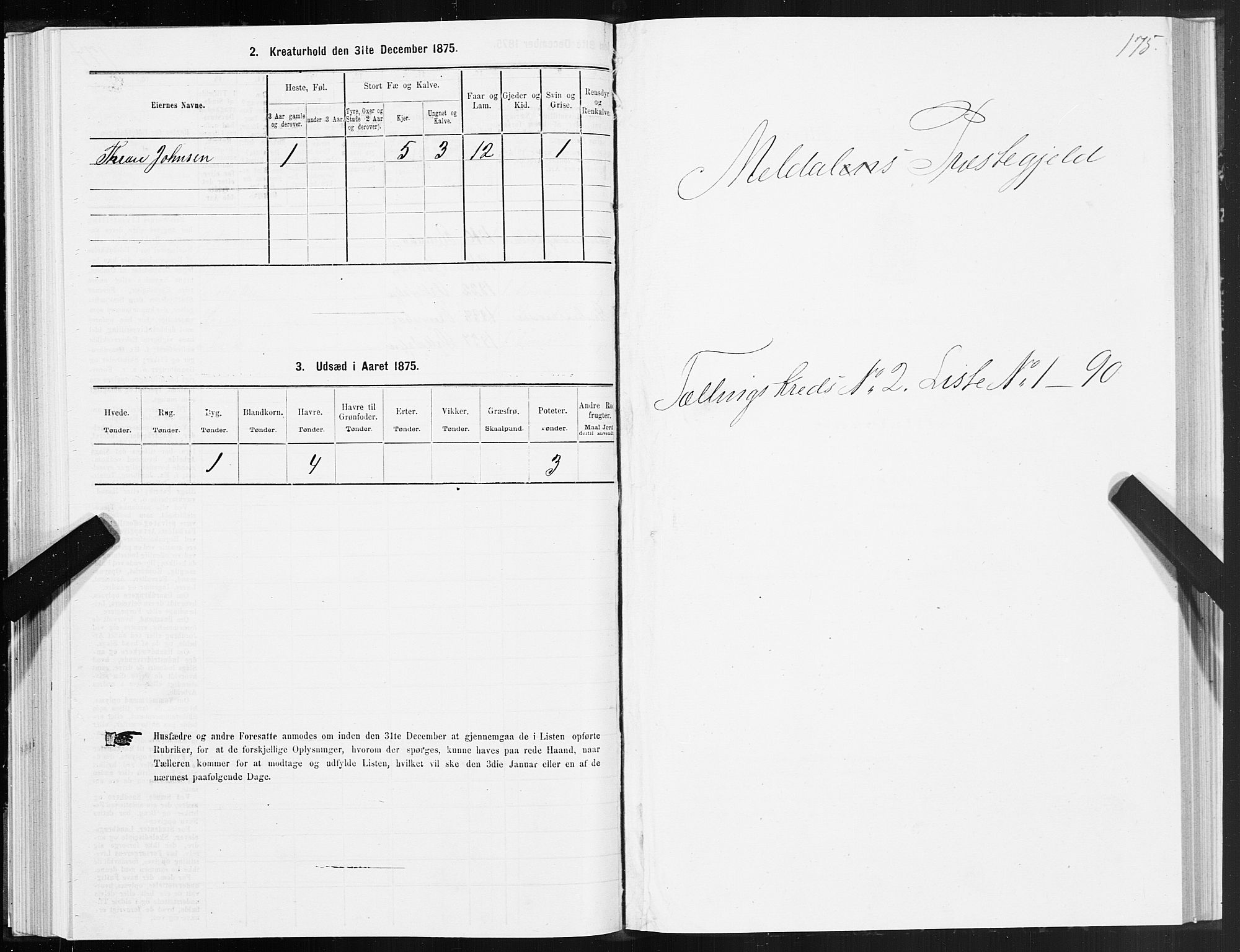 SAT, Folketelling 1875 for 1636P Meldal prestegjeld, 1875, s. 1175