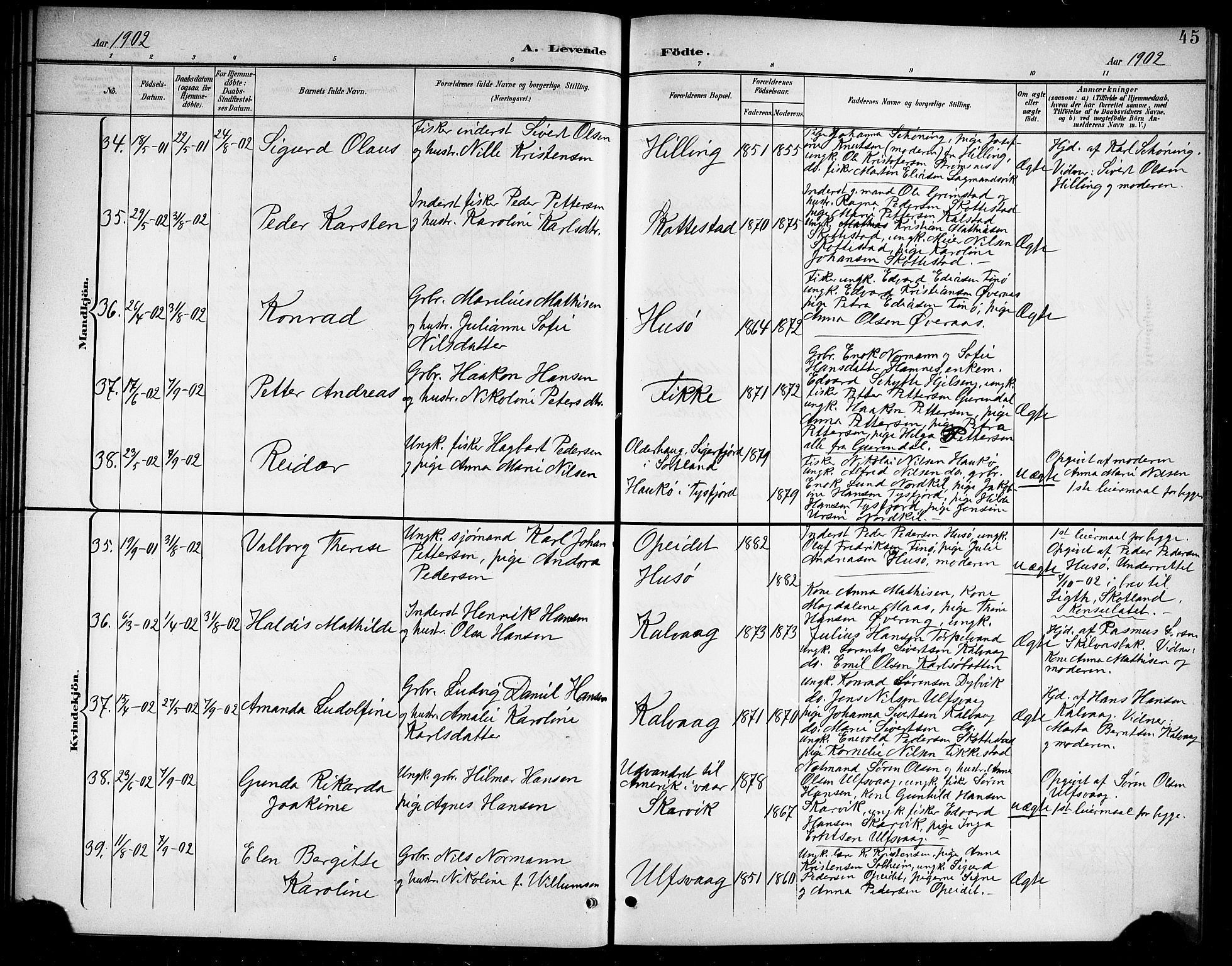 Ministerialprotokoller, klokkerbøker og fødselsregistre - Nordland, AV/SAT-A-1459/859/L0860: Klokkerbok nr. 859C06, 1899-1909, s. 45