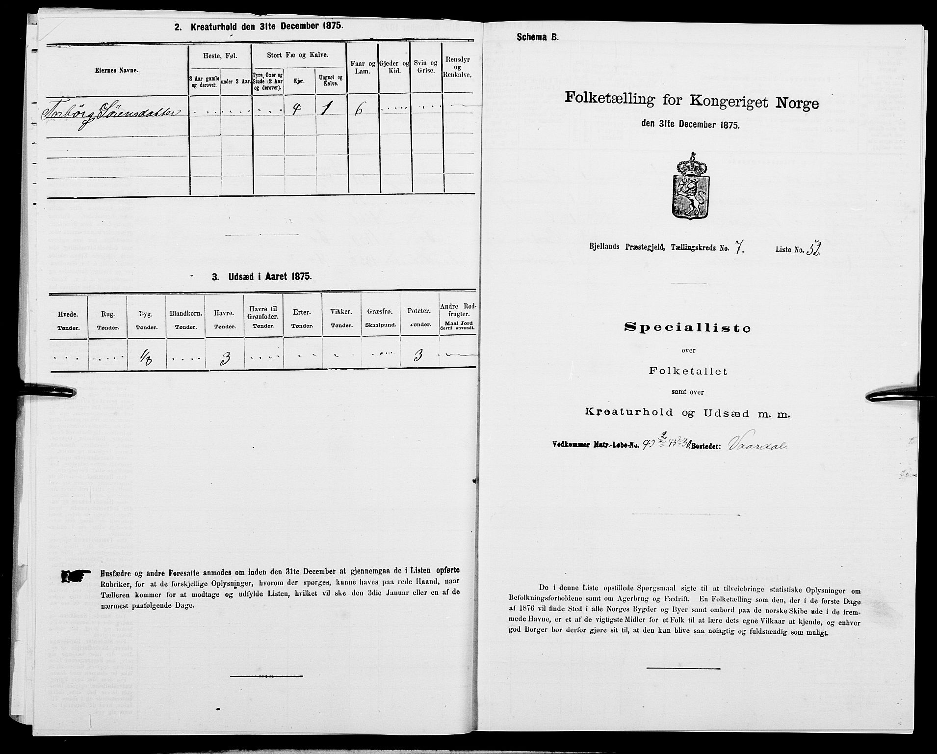 SAK, Folketelling 1875 for 1024P Bjelland prestegjeld, 1875, s. 496