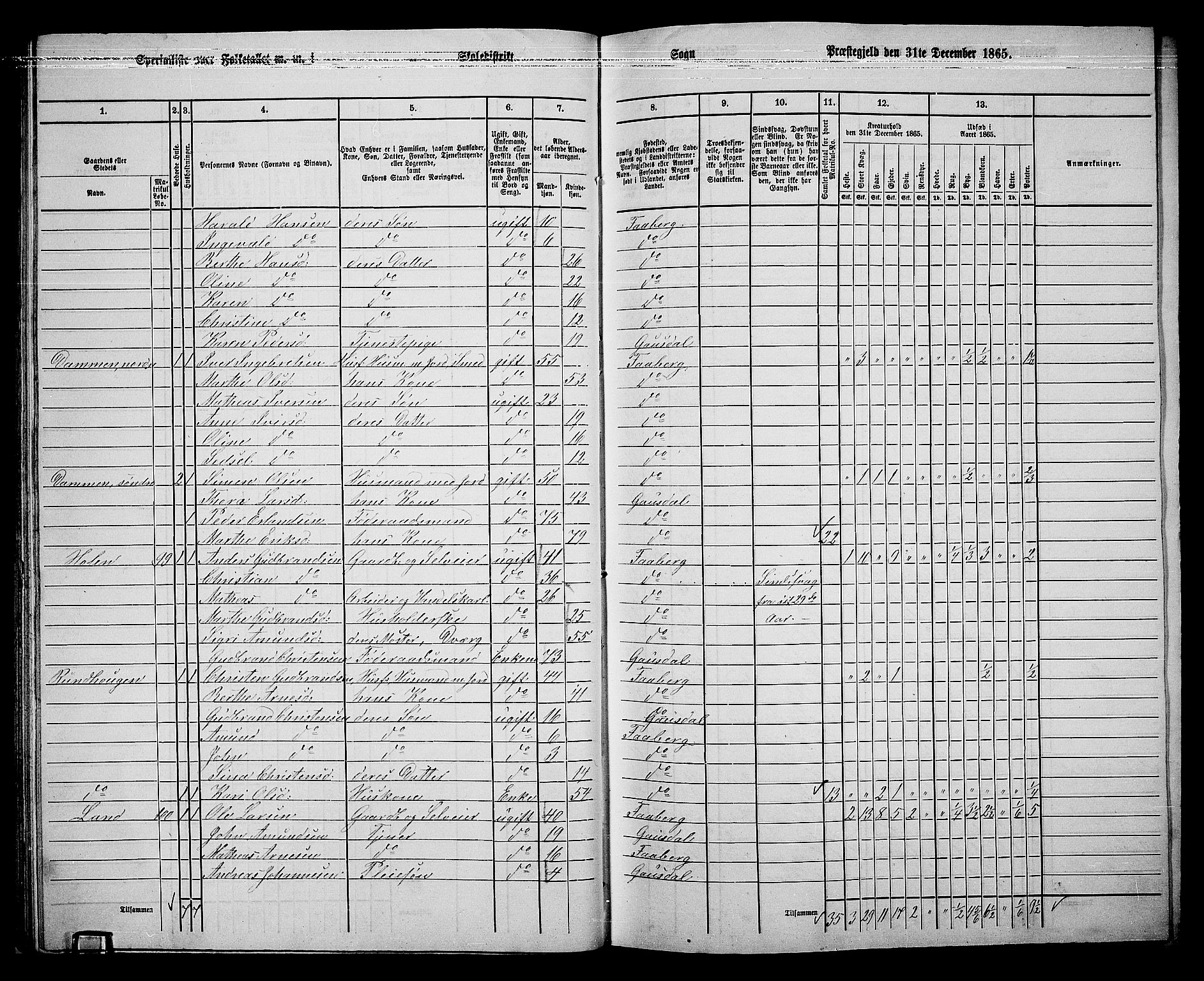 RA, Folketelling 1865 for 0524L Fåberg prestegjeld, Fåberg sokn og Lillehammer landsokn, 1865, s. 41