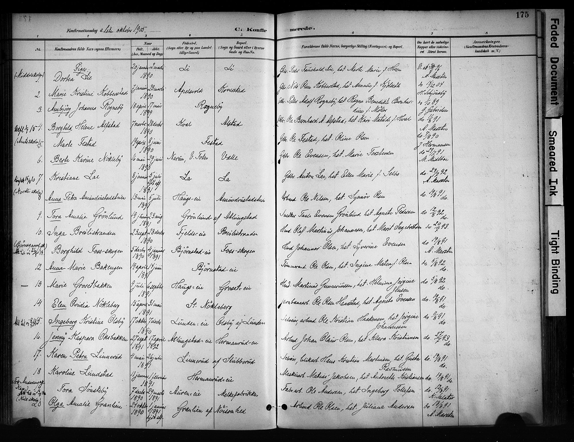 Østre Toten prestekontor, AV/SAH-PREST-104/H/Ha/Haa/L0008: Ministerialbok nr. 8, 1897-1909, s. 175