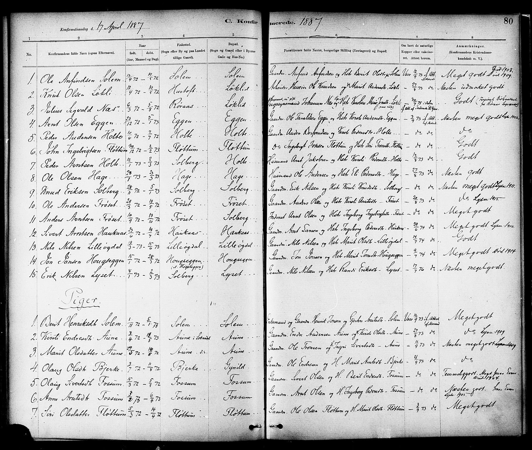 Ministerialprotokoller, klokkerbøker og fødselsregistre - Sør-Trøndelag, AV/SAT-A-1456/689/L1040: Ministerialbok nr. 689A05, 1878-1890, s. 80