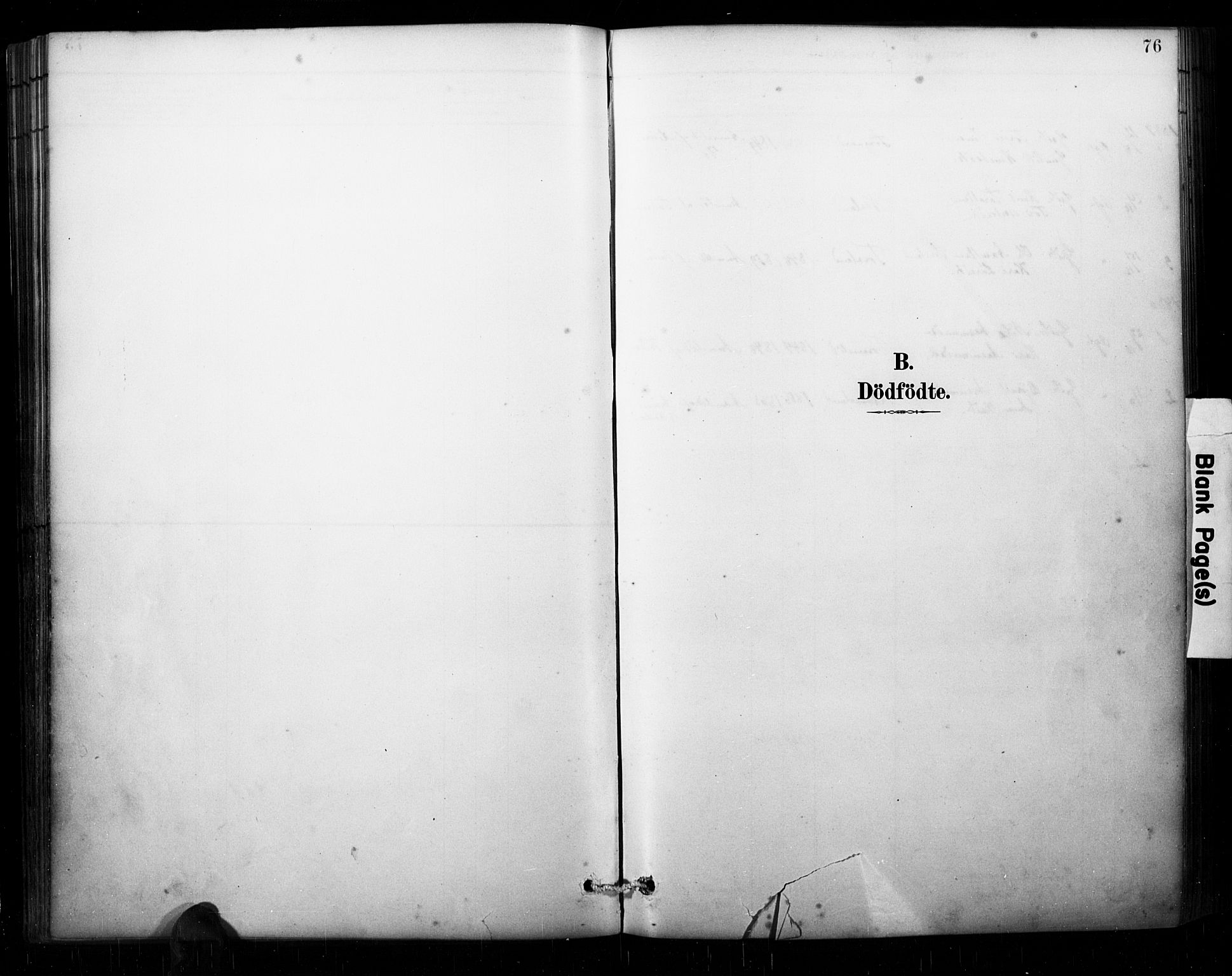 Åseral sokneprestkontor, AV/SAK-1111-0051/F/Fa/L0003: Ministerialbok nr. A 3, 1884-1901, s. 76