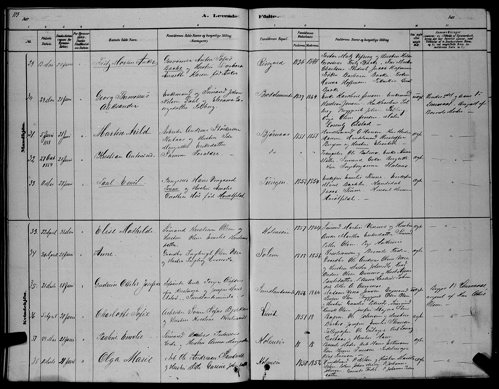 Ministerialprotokoller, klokkerbøker og fødselsregistre - Sør-Trøndelag, SAT/A-1456/606/L0312: Klokkerbok nr. 606C08, 1878-1894, s. 113