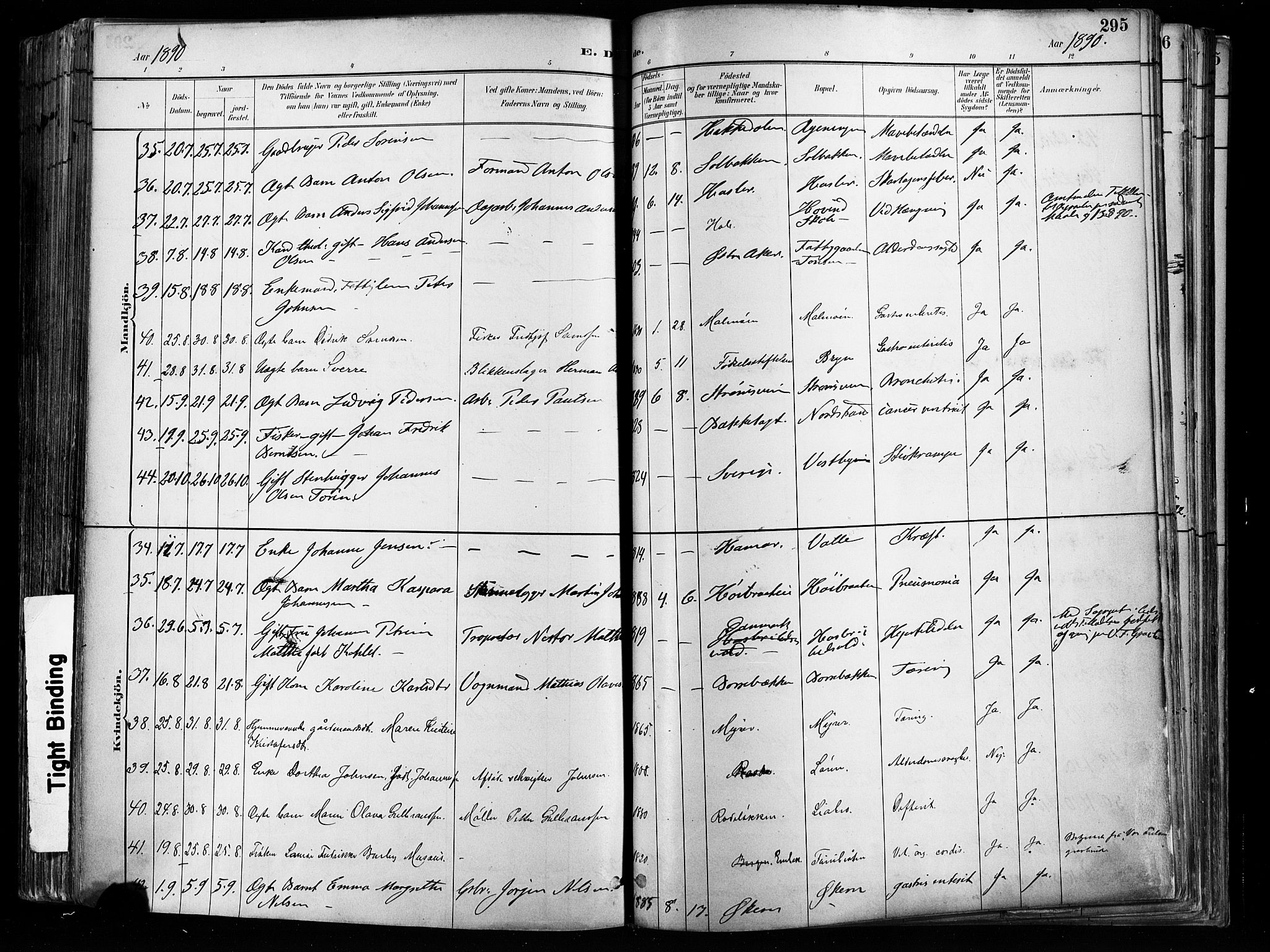 Østre Aker prestekontor Kirkebøker, AV/SAO-A-10840/F/Fa/L0008: Ministerialbok nr. I 8, 1883-1894, s. 295