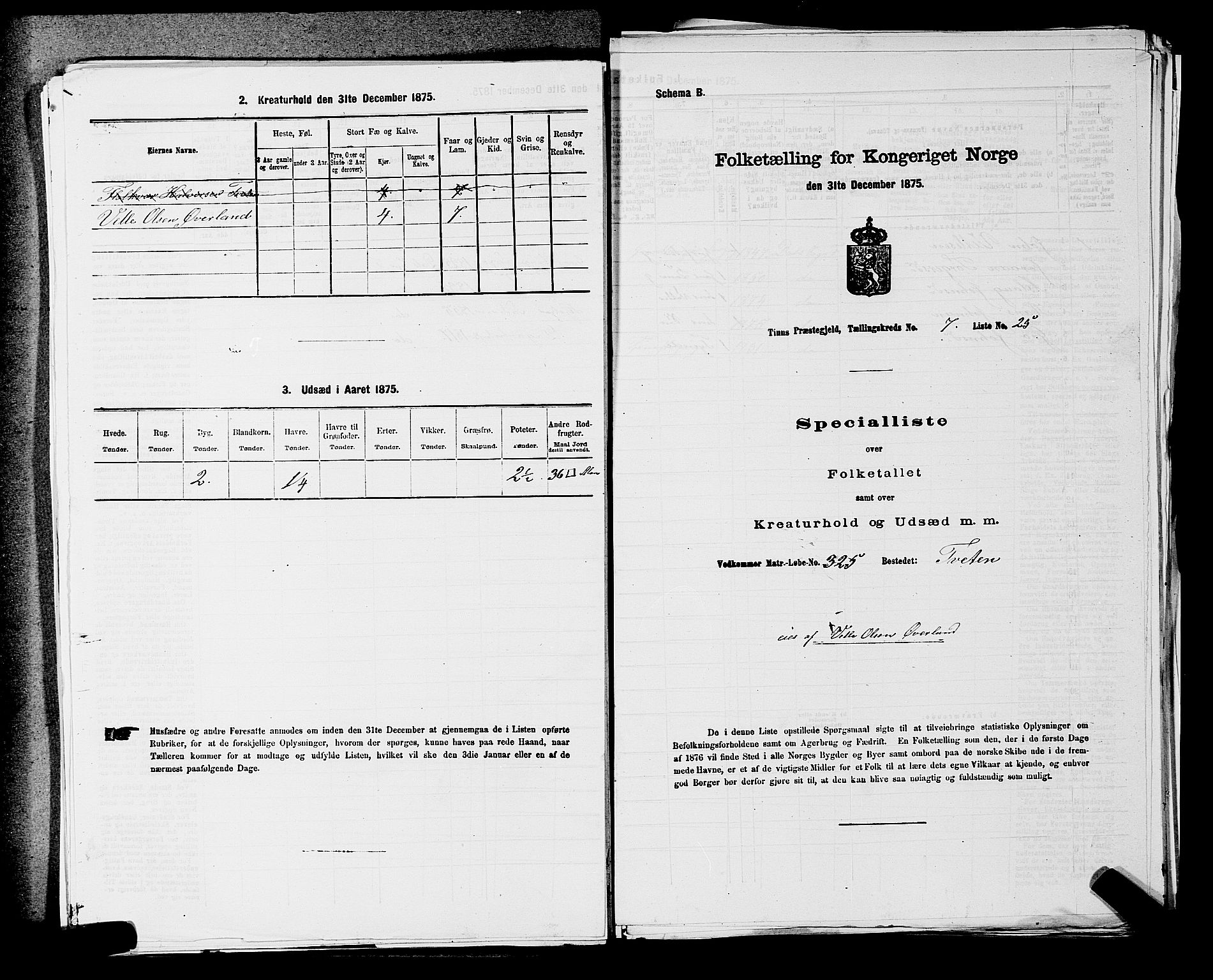 SAKO, Folketelling 1875 for 0826P Tinn prestegjeld, 1875, s. 976