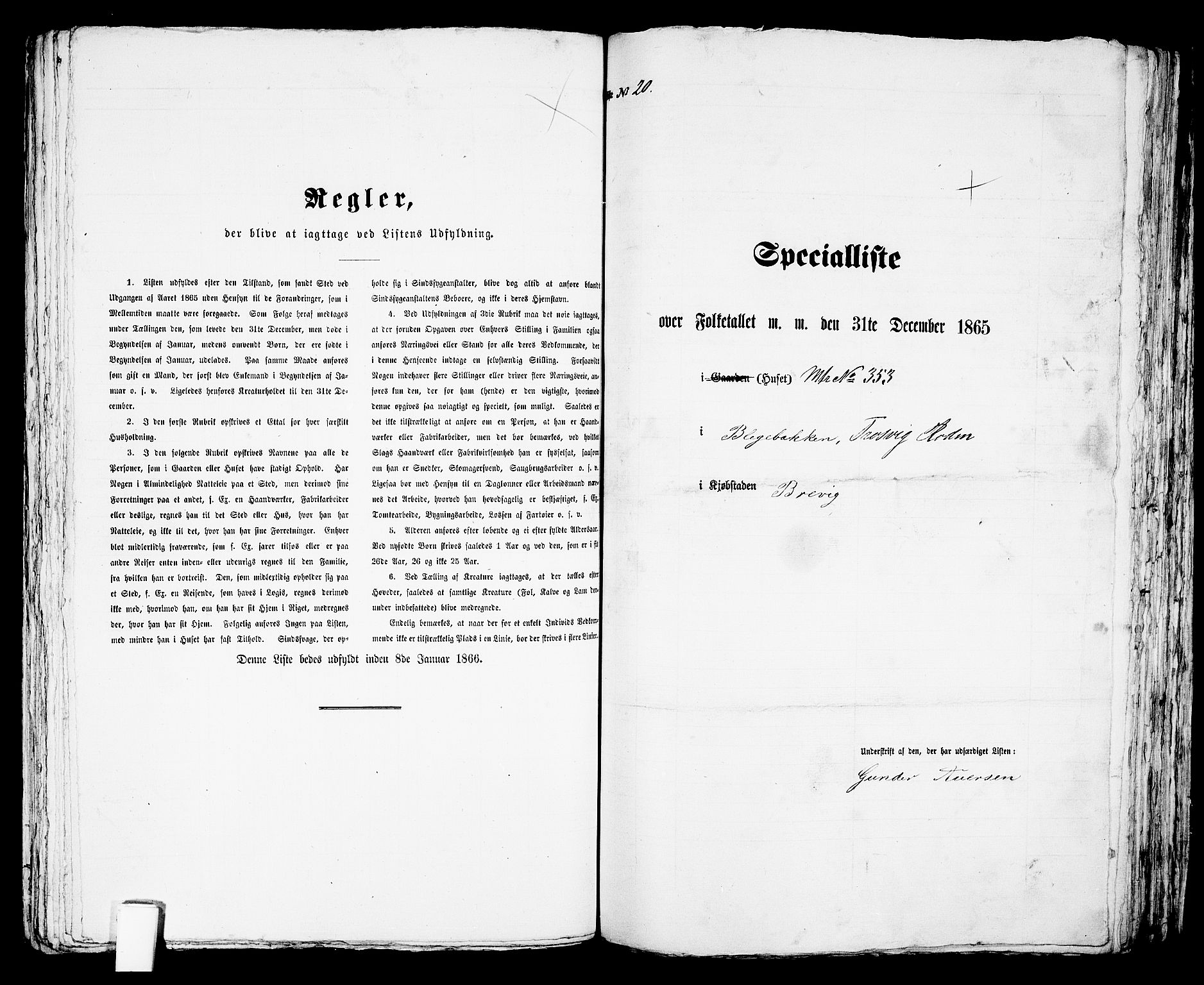 RA, Folketelling 1865 for 0804P Brevik prestegjeld, 1865, s. 599