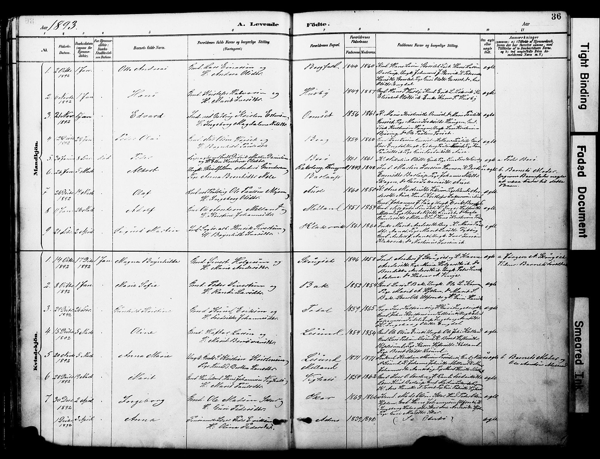 Ministerialprotokoller, klokkerbøker og fødselsregistre - Møre og Romsdal, SAT/A-1454/578/L0907: Ministerialbok nr. 578A06, 1887-1904, s. 36