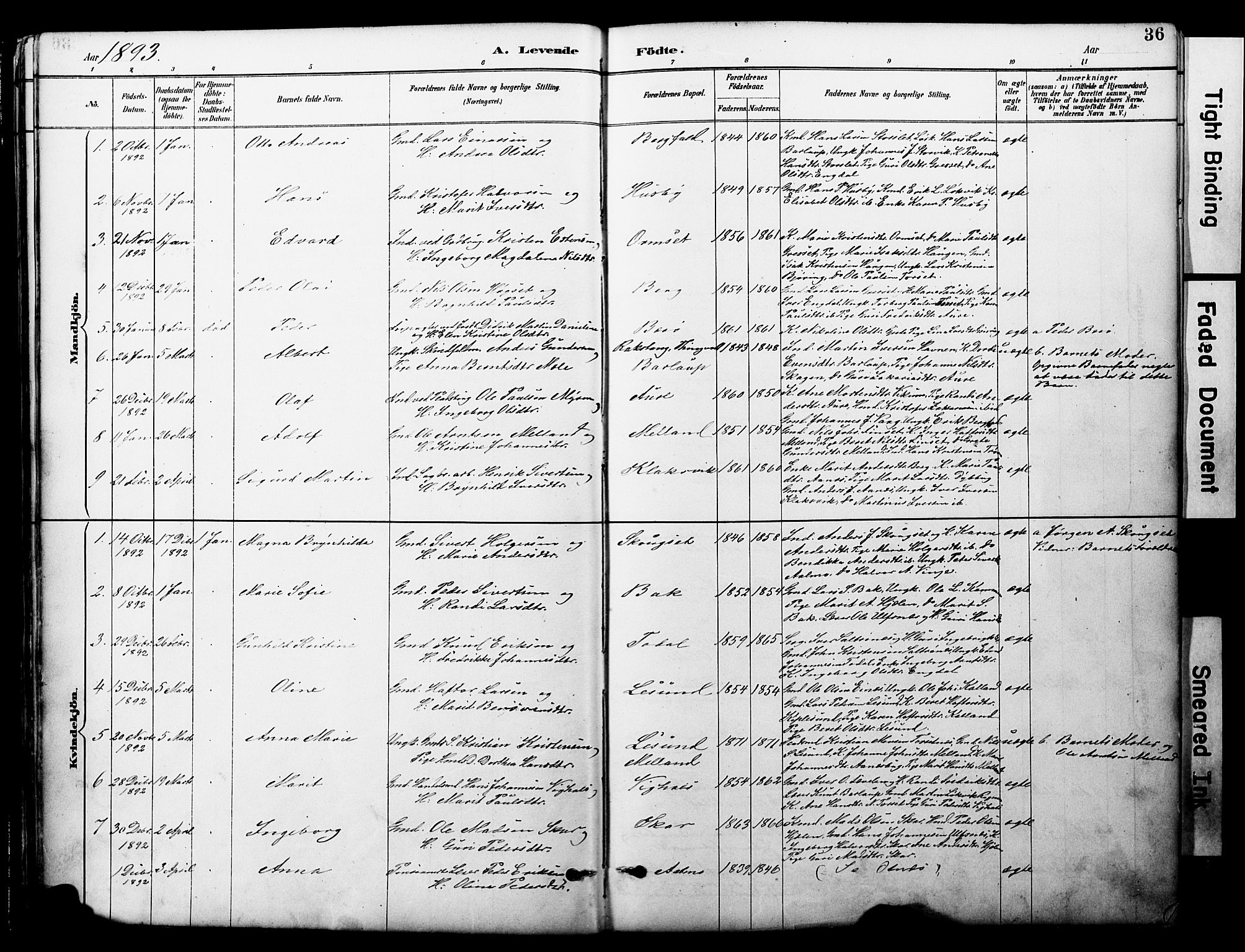 Ministerialprotokoller, klokkerbøker og fødselsregistre - Møre og Romsdal, AV/SAT-A-1454/578/L0907: Ministerialbok nr. 578A06, 1887-1904, s. 36