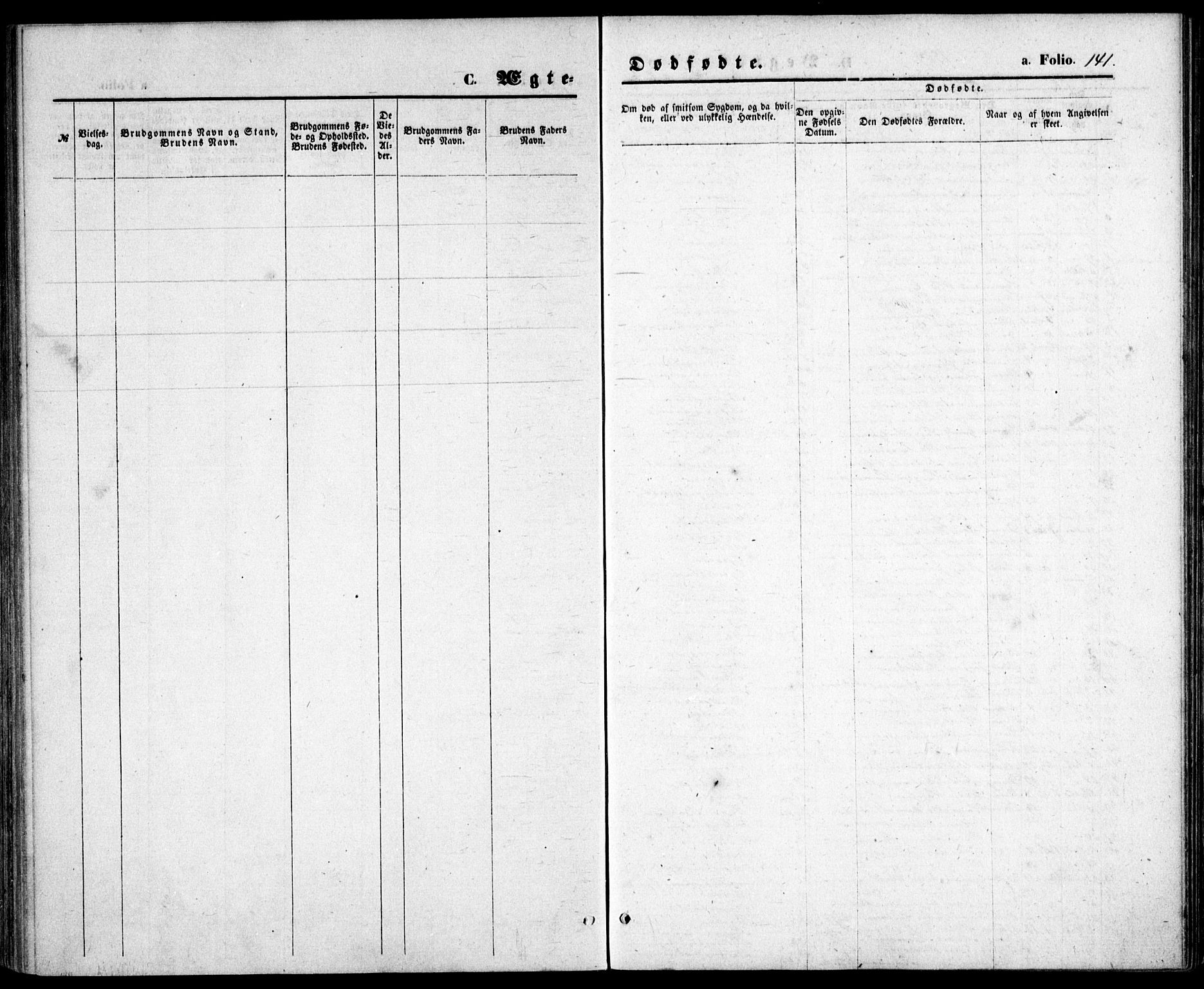 Tromøy sokneprestkontor, SAK/1111-0041/F/Fb/L0004: Klokkerbok nr. B 4, 1869-1877, s. 141