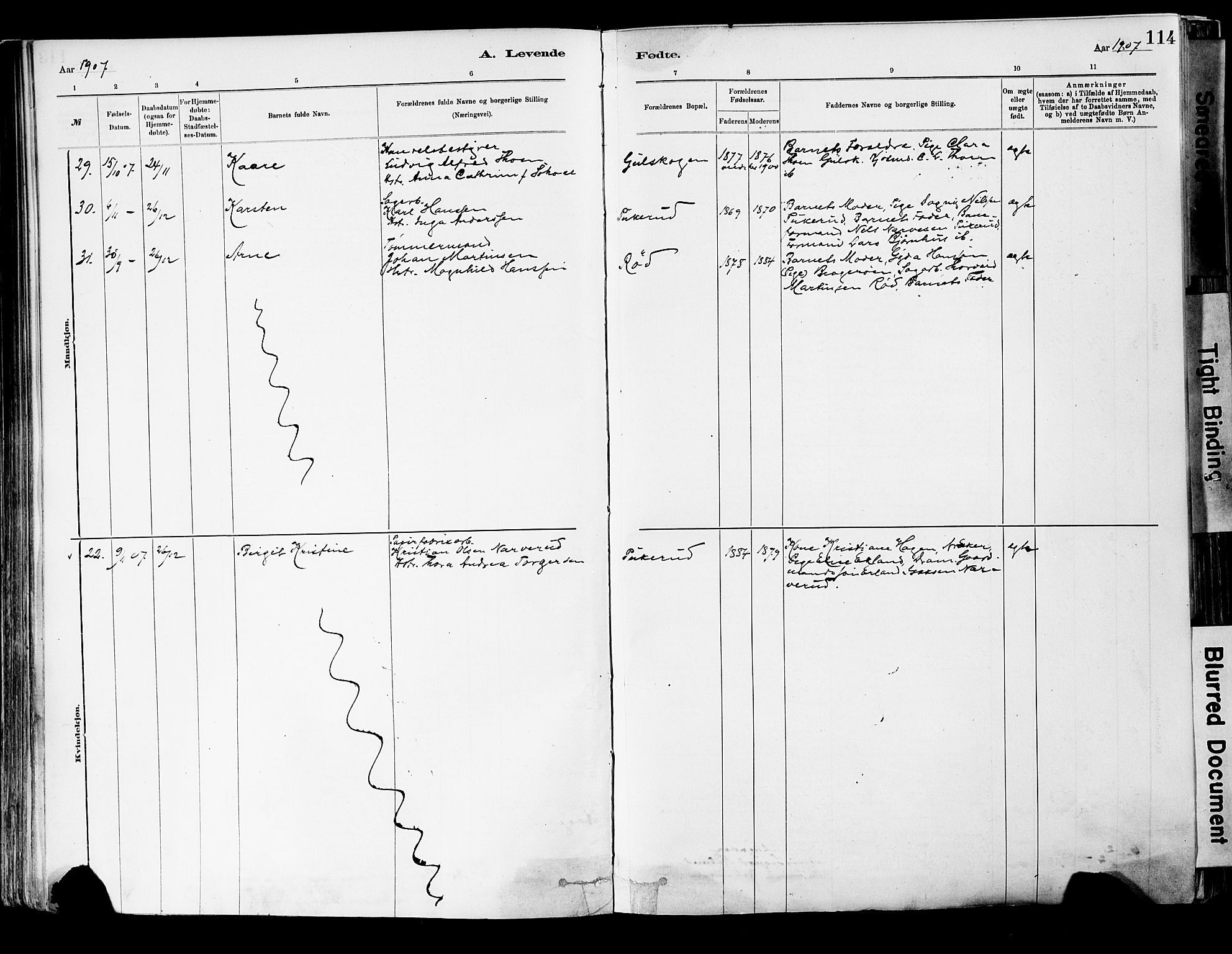 Strømsgodset kirkebøker, AV/SAKO-A-324/F/Fa/L0001: Ministerialbok nr. 1, 1885-1909, s. 114