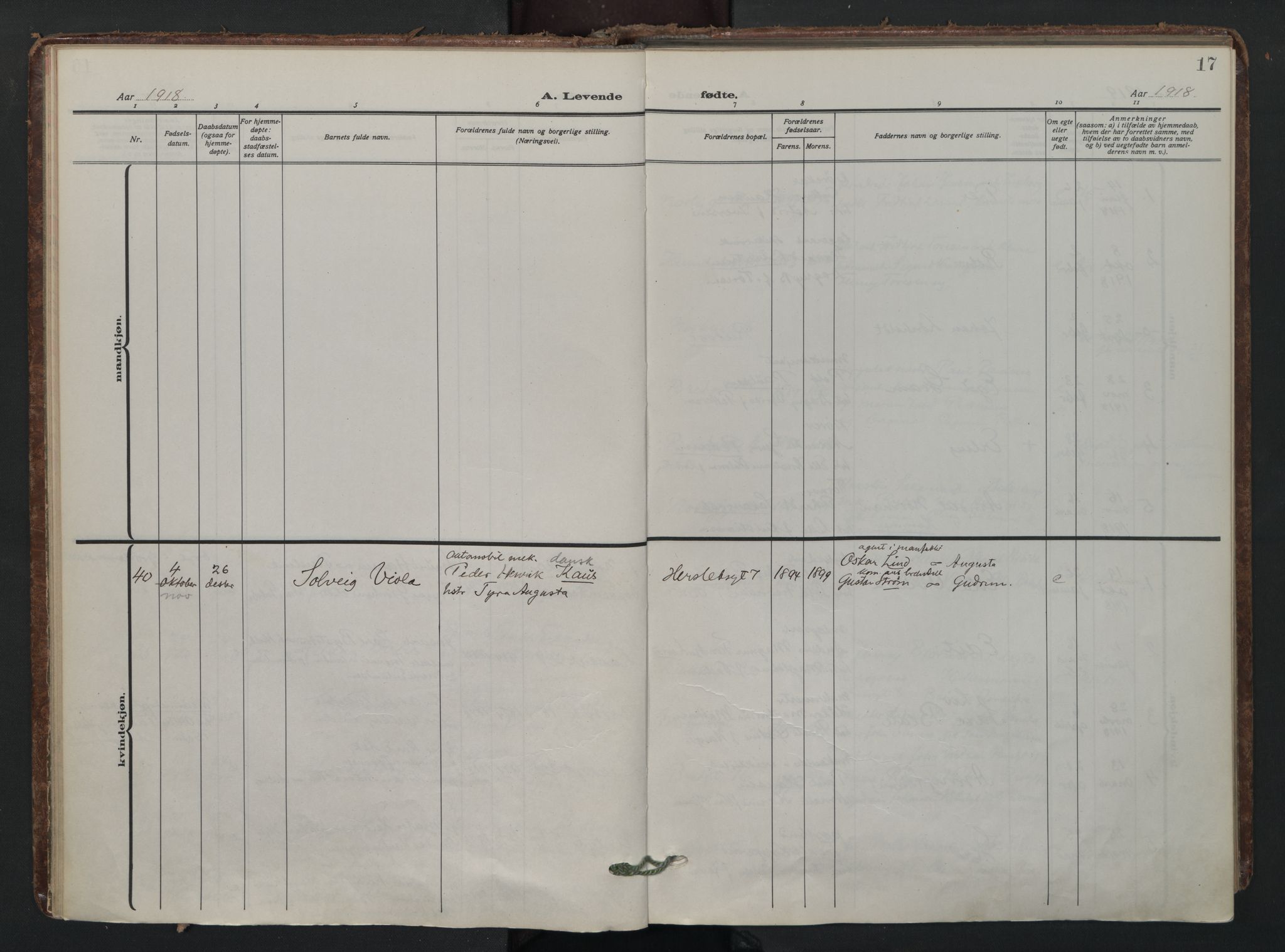 Wexel prestekontor Kirkebøker, AV/SAO-A-10879/F/L0001: Ministerialbok nr. 1, 1917-1930, s. 17