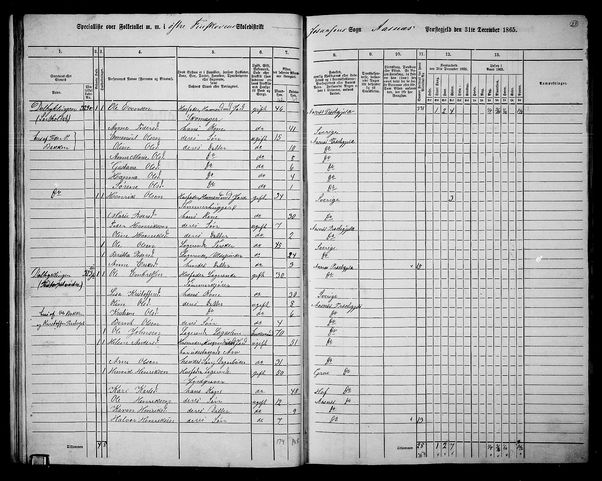 RA, Folketelling 1865 for 0425P Åsnes prestegjeld, 1865, s. 26
