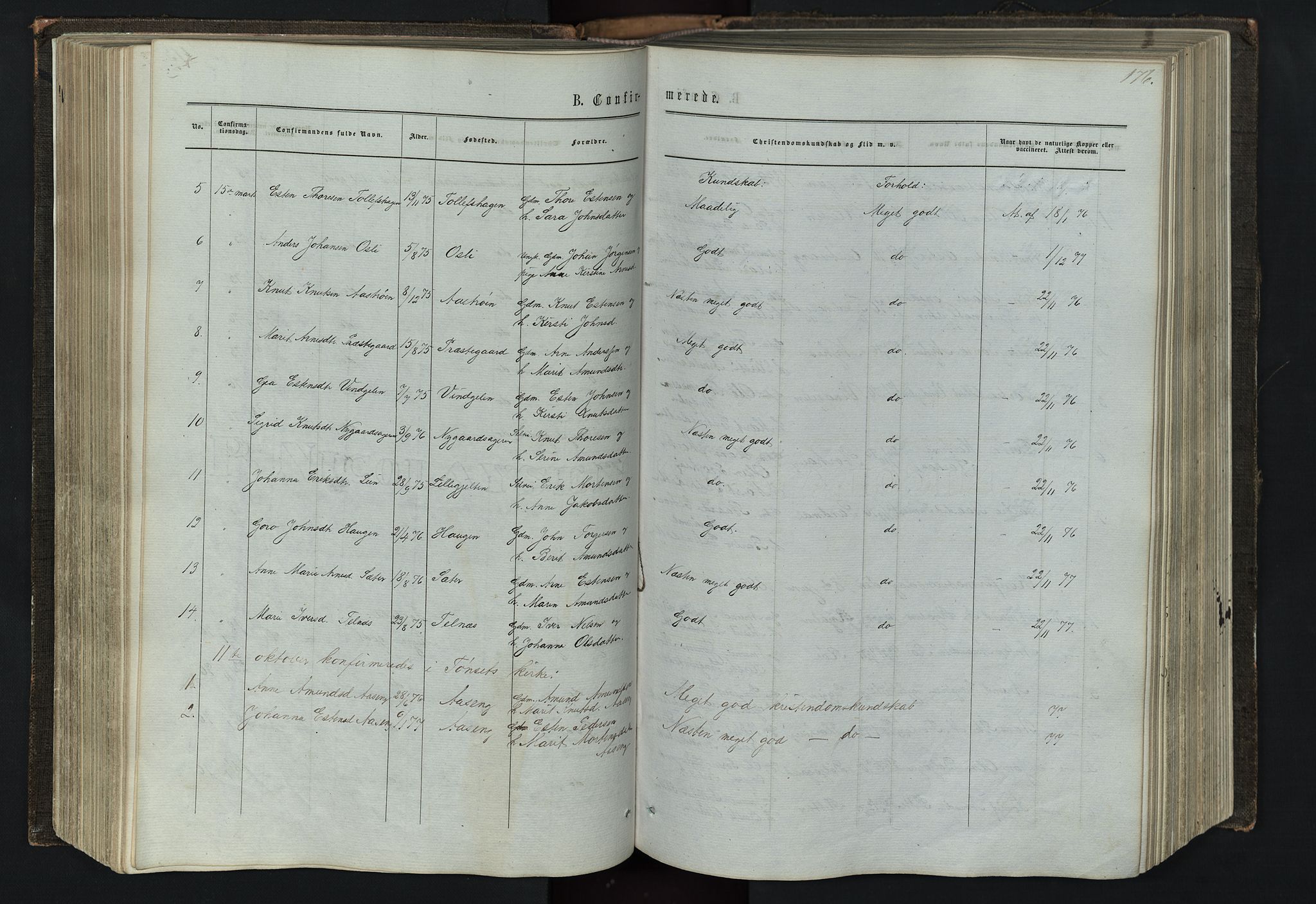 Tolga prestekontor, AV/SAH-PREST-062/L/L0005: Klokkerbok nr. 5, 1862-1893, s. 176