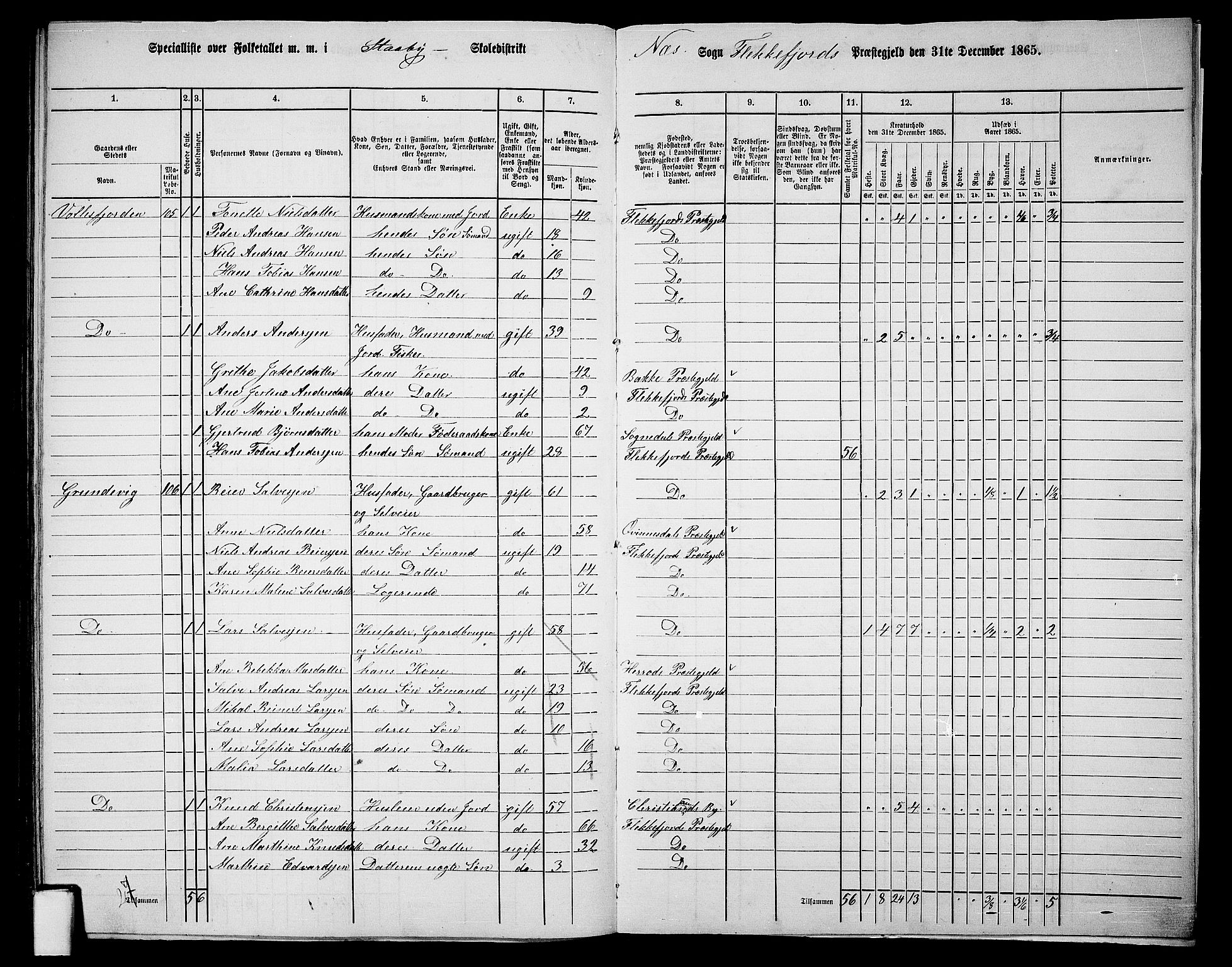 RA, Folketelling 1865 for 1042L Flekkefjord prestegjeld, Nes sokn og Hidra sokn, 1865, s. 171