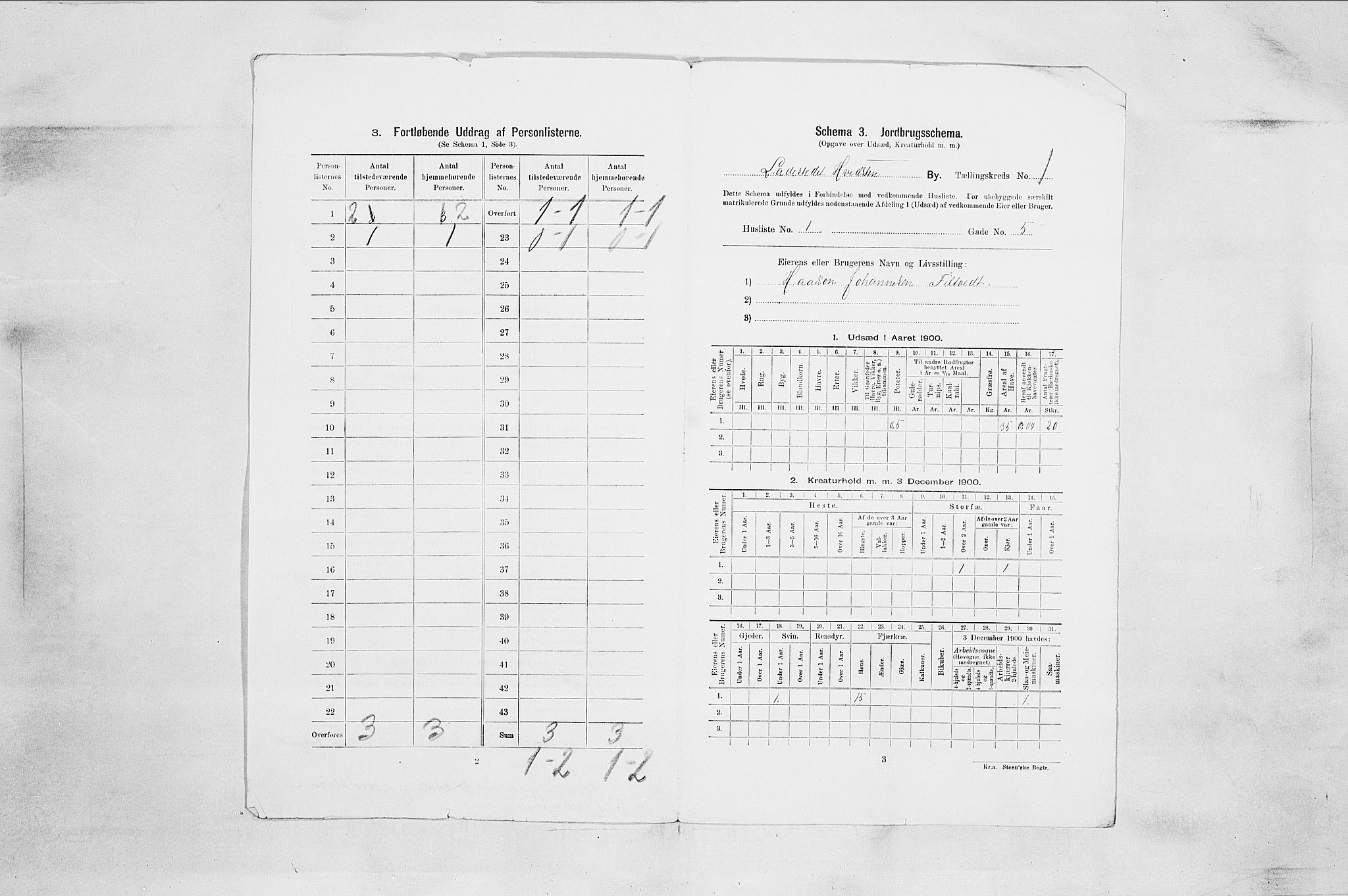 SAO, Folketelling 1900 for 0202 Hvitsten ladested, 1900