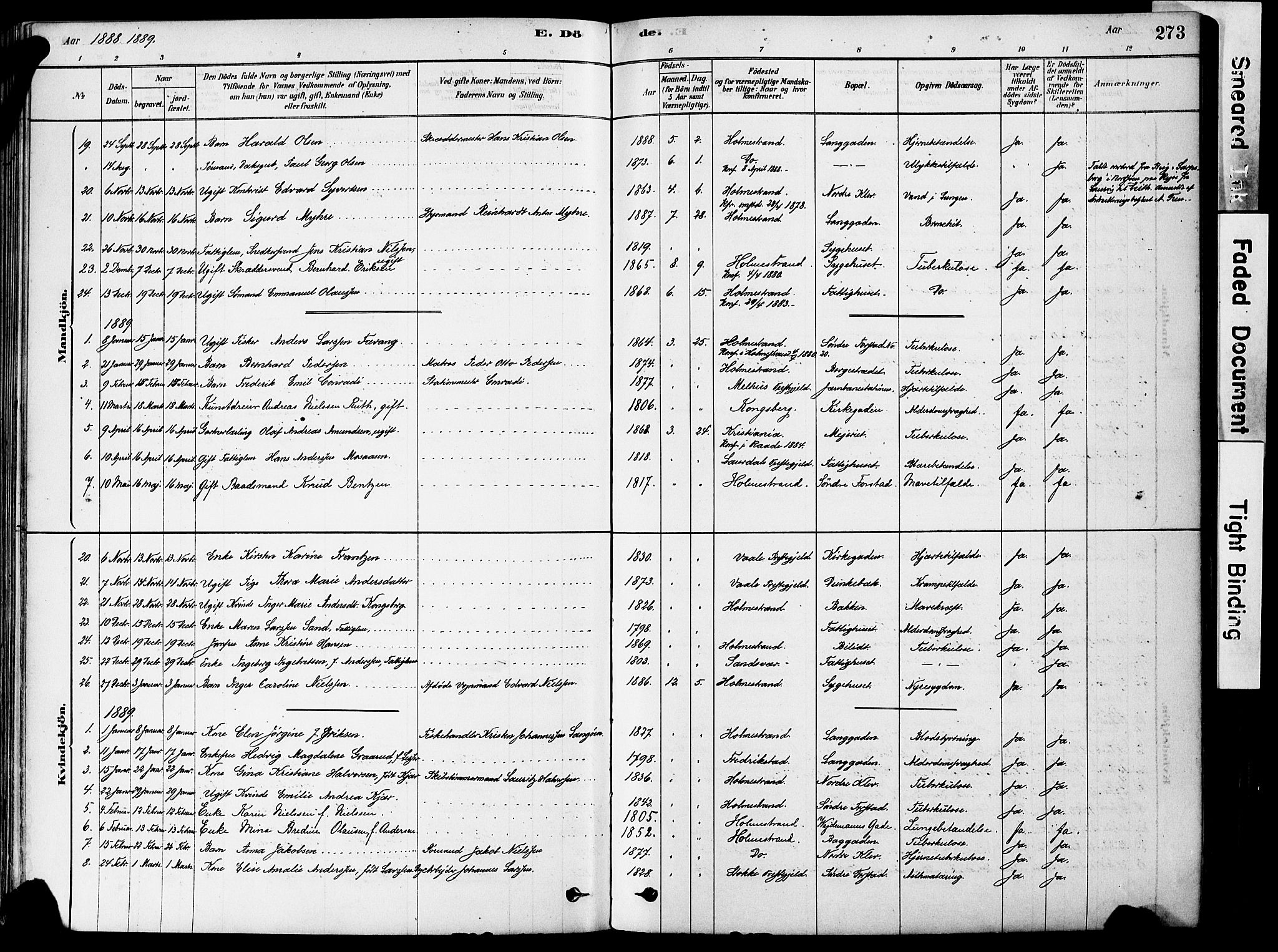 Holmestrand kirkebøker, SAKO/A-346/F/Fa/L0004: Ministerialbok nr. 4, 1880-1901, s. 273