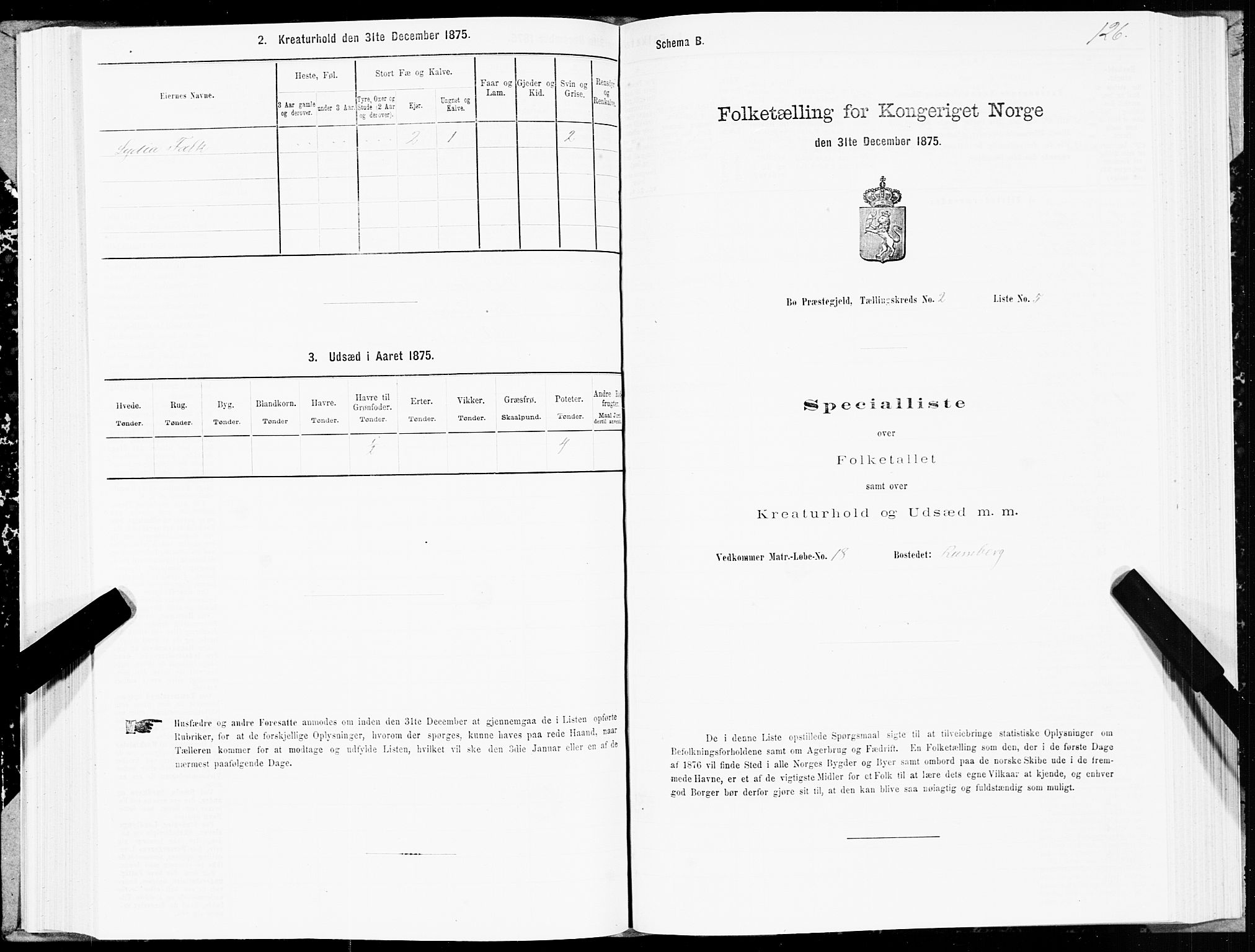 SAT, Folketelling 1875 for 1867P Bø prestegjeld, 1875, s. 1126