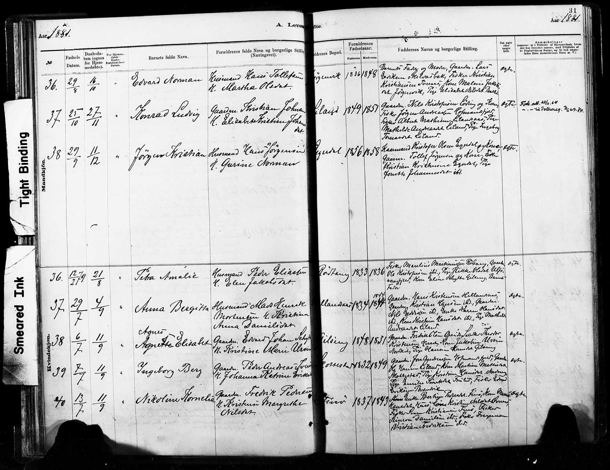 Ministerialprotokoller, klokkerbøker og fødselsregistre - Nordland, AV/SAT-A-1459/859/L0846: Ministerialbok nr. 859A06, 1878-1889, s. 31