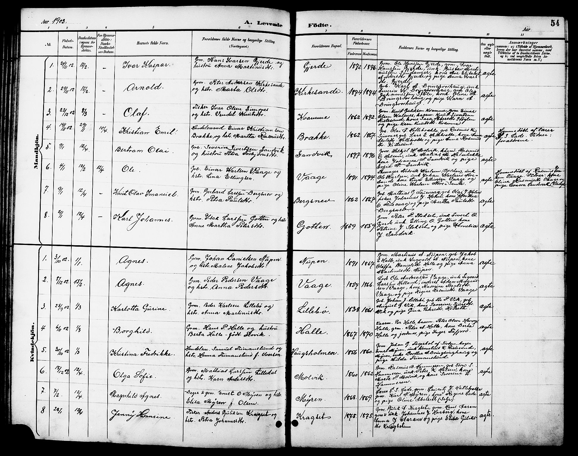 Ministerialprotokoller, klokkerbøker og fødselsregistre - Møre og Romsdal, AV/SAT-A-1454/503/L0049: Klokkerbok nr. 503C04, 1894-1915, s. 54