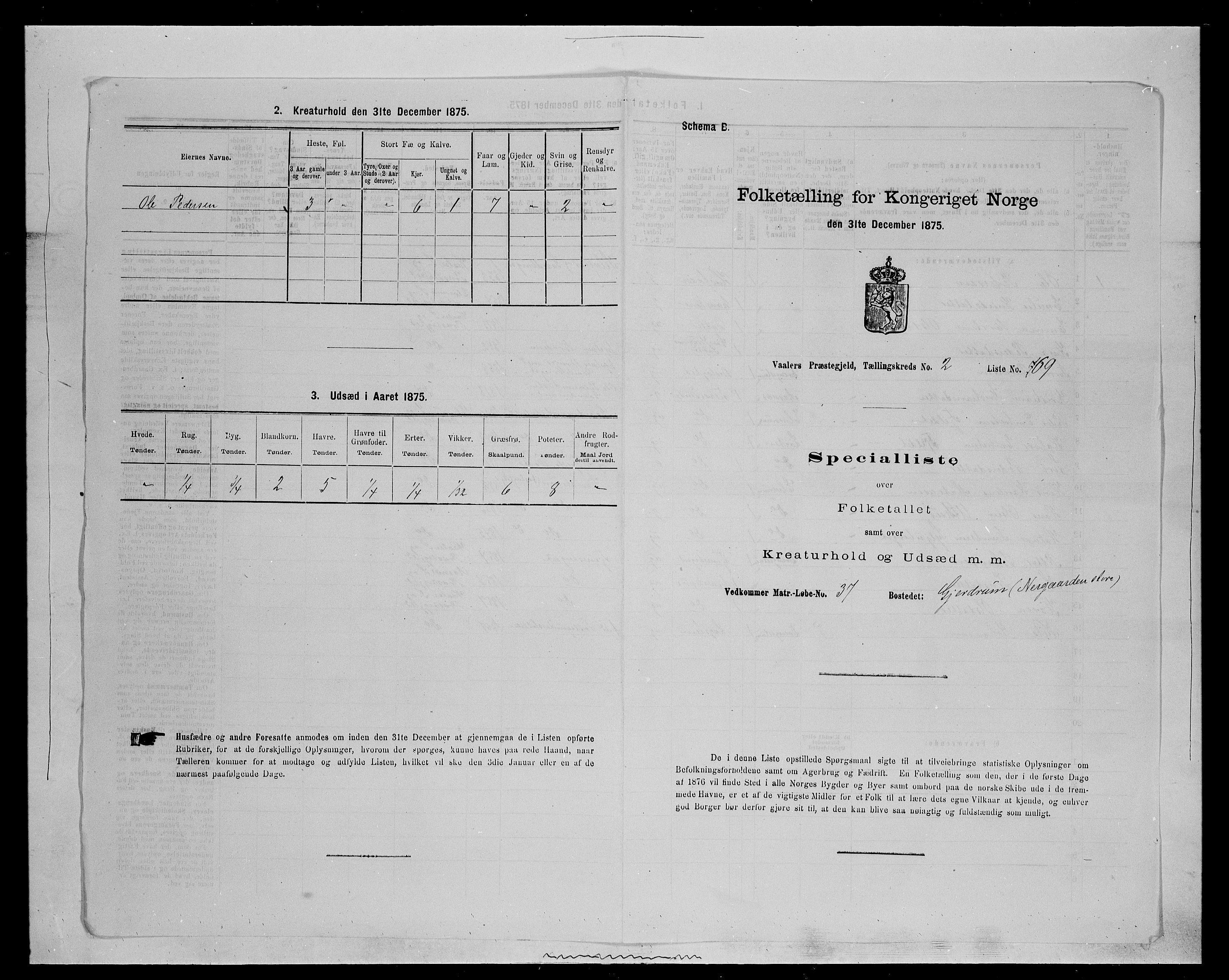 SAH, Folketelling 1875 for 0426P Våler prestegjeld (Hedmark), 1875, s. 381